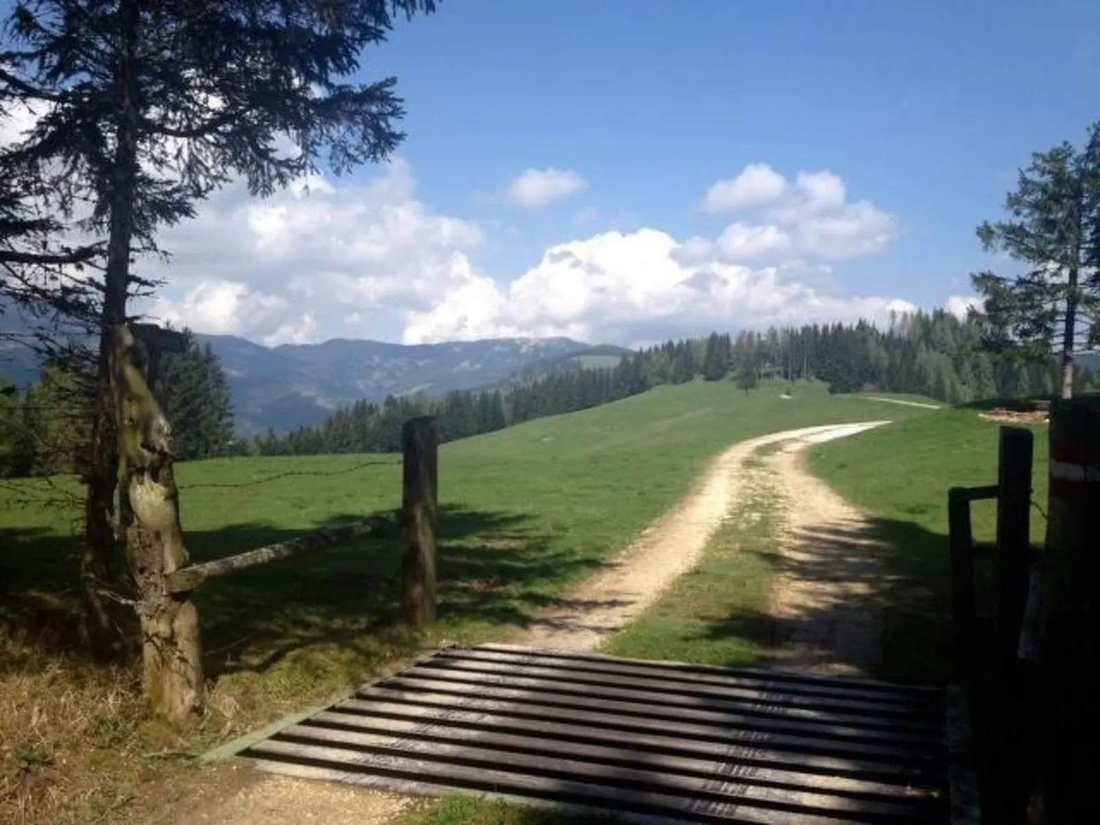 Almhaus am Hohenwart-Outside