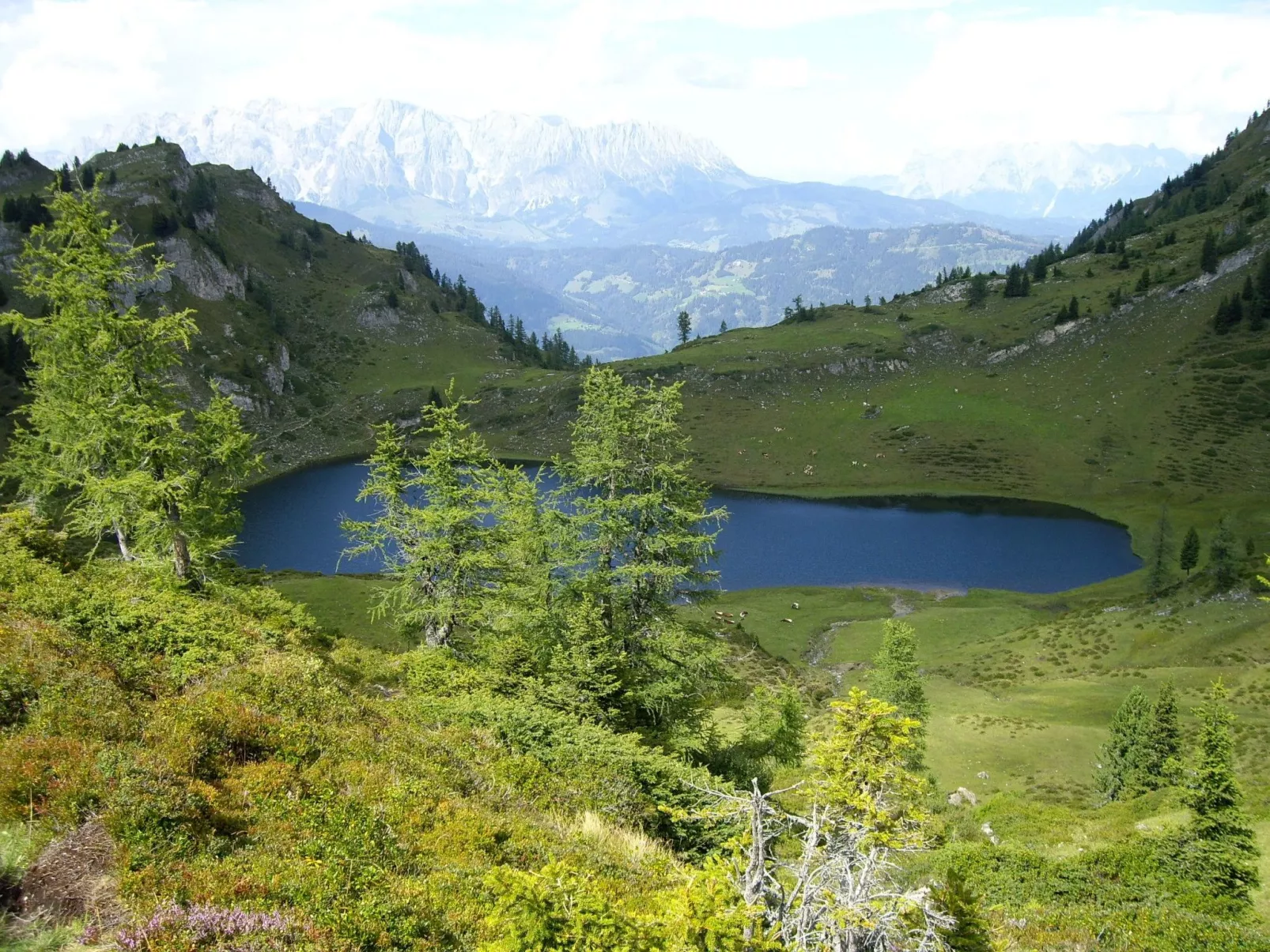 In Dorfgastein-Draußen