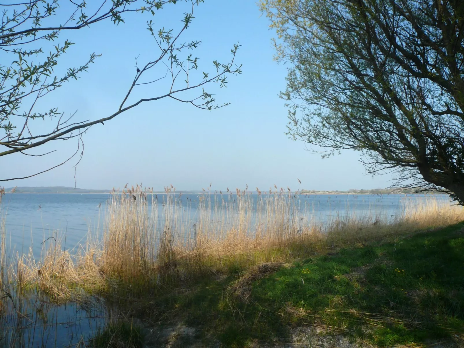 Studio am Rande eines Naturschutzgebietes-Outside
