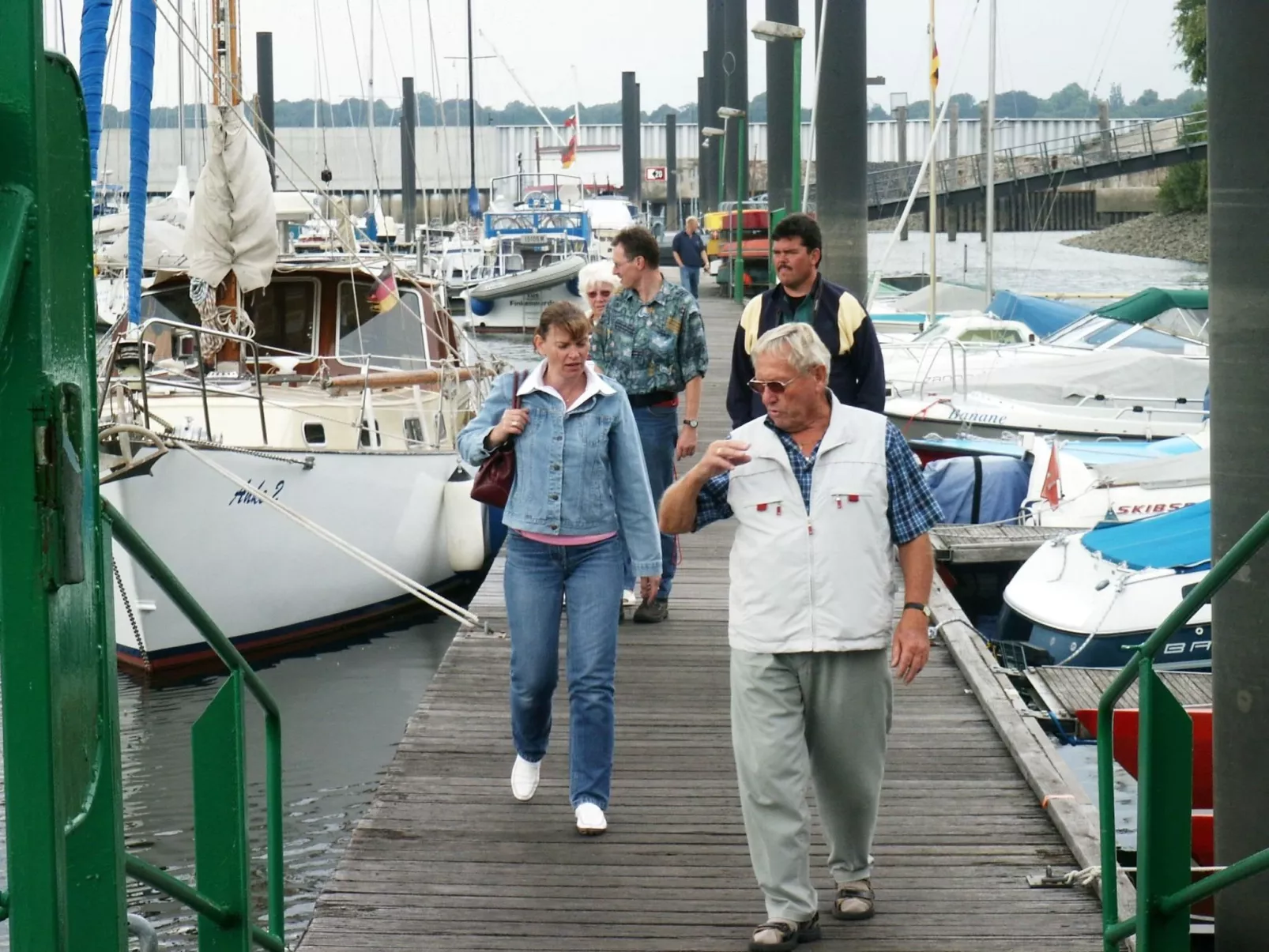 Silbermöwe-Image-tags.info