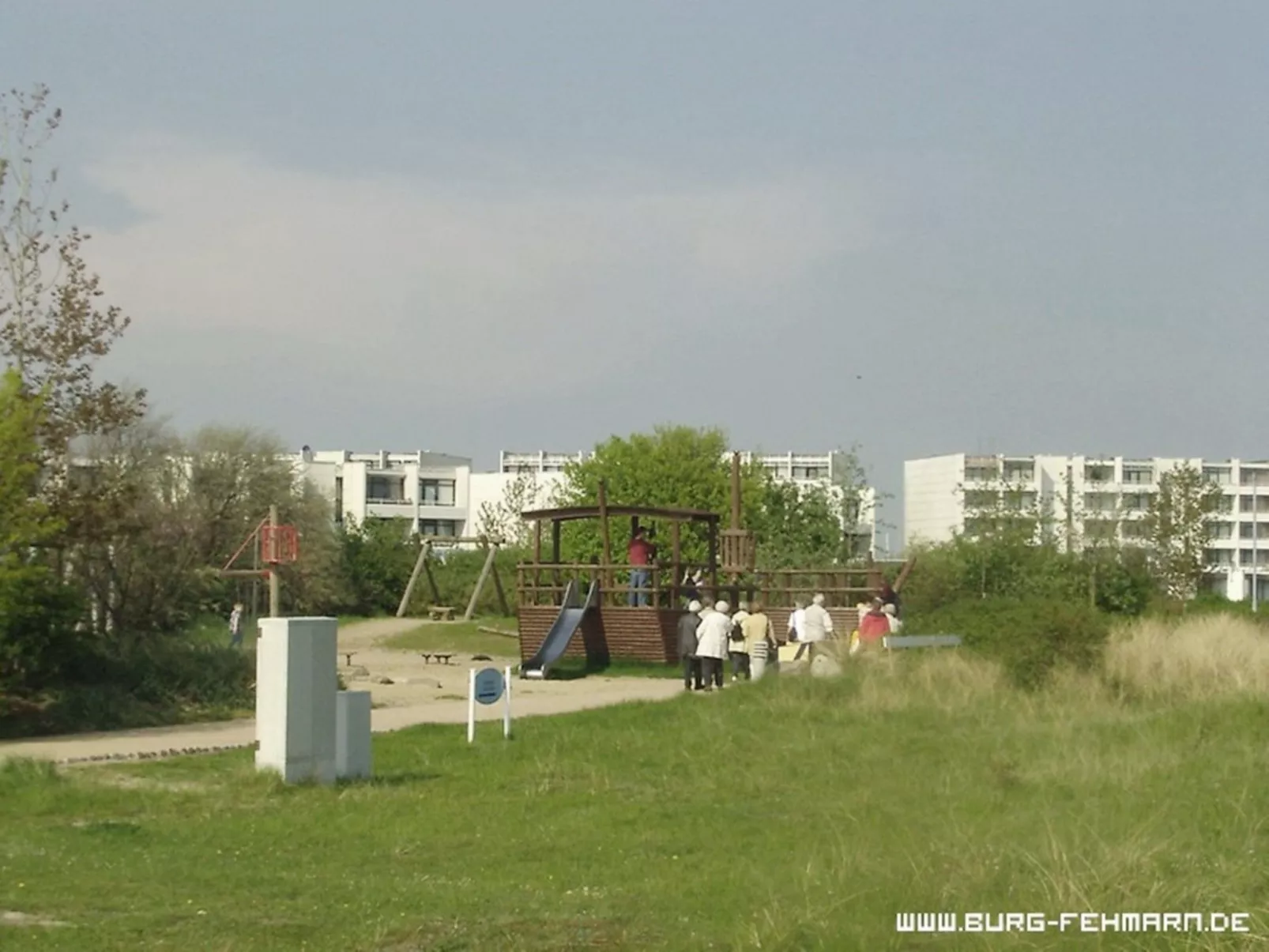 Heringsmöwe in Neue Tiefe-Inside