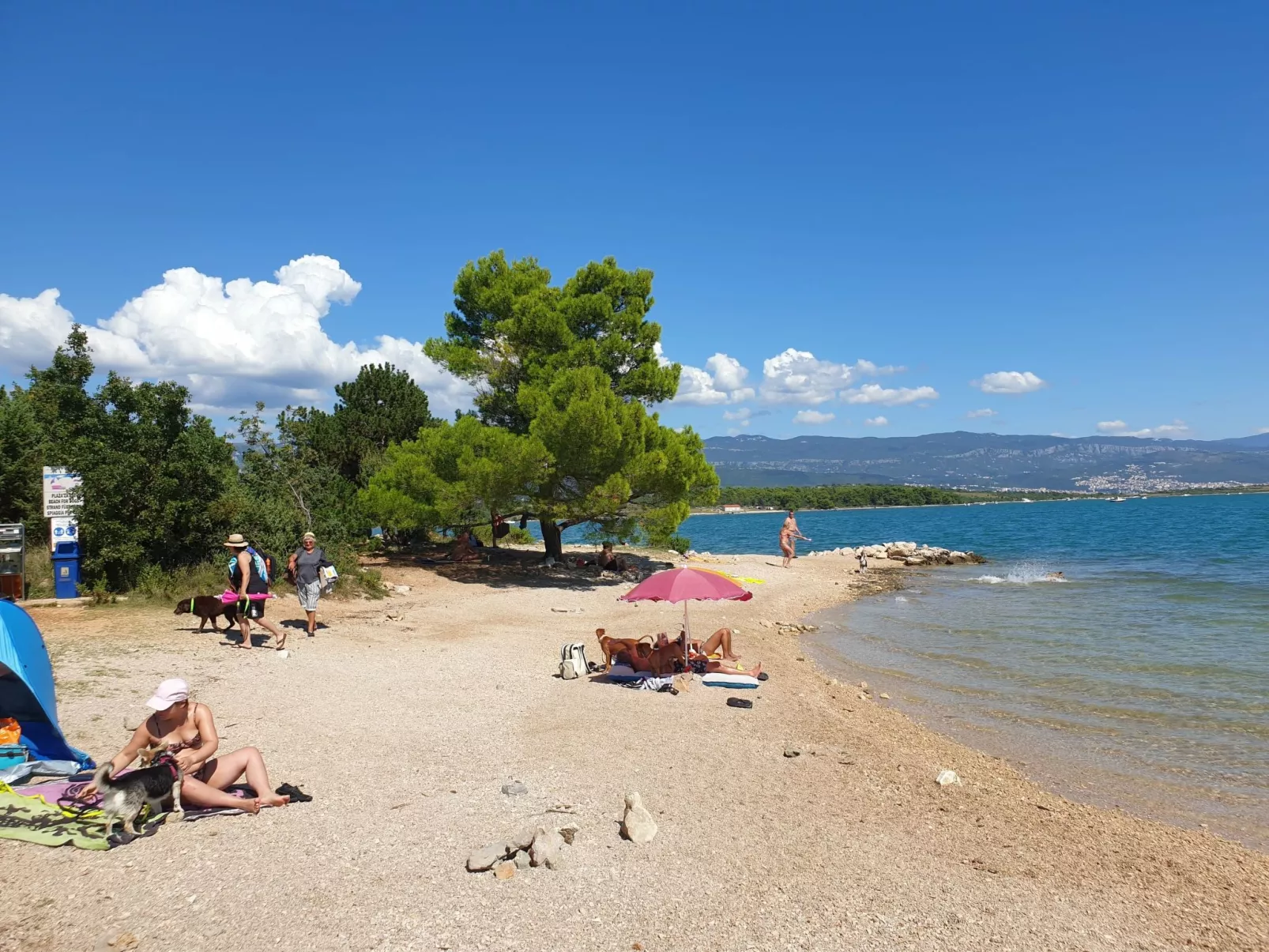 Apartment PintaDeSol-Dehors