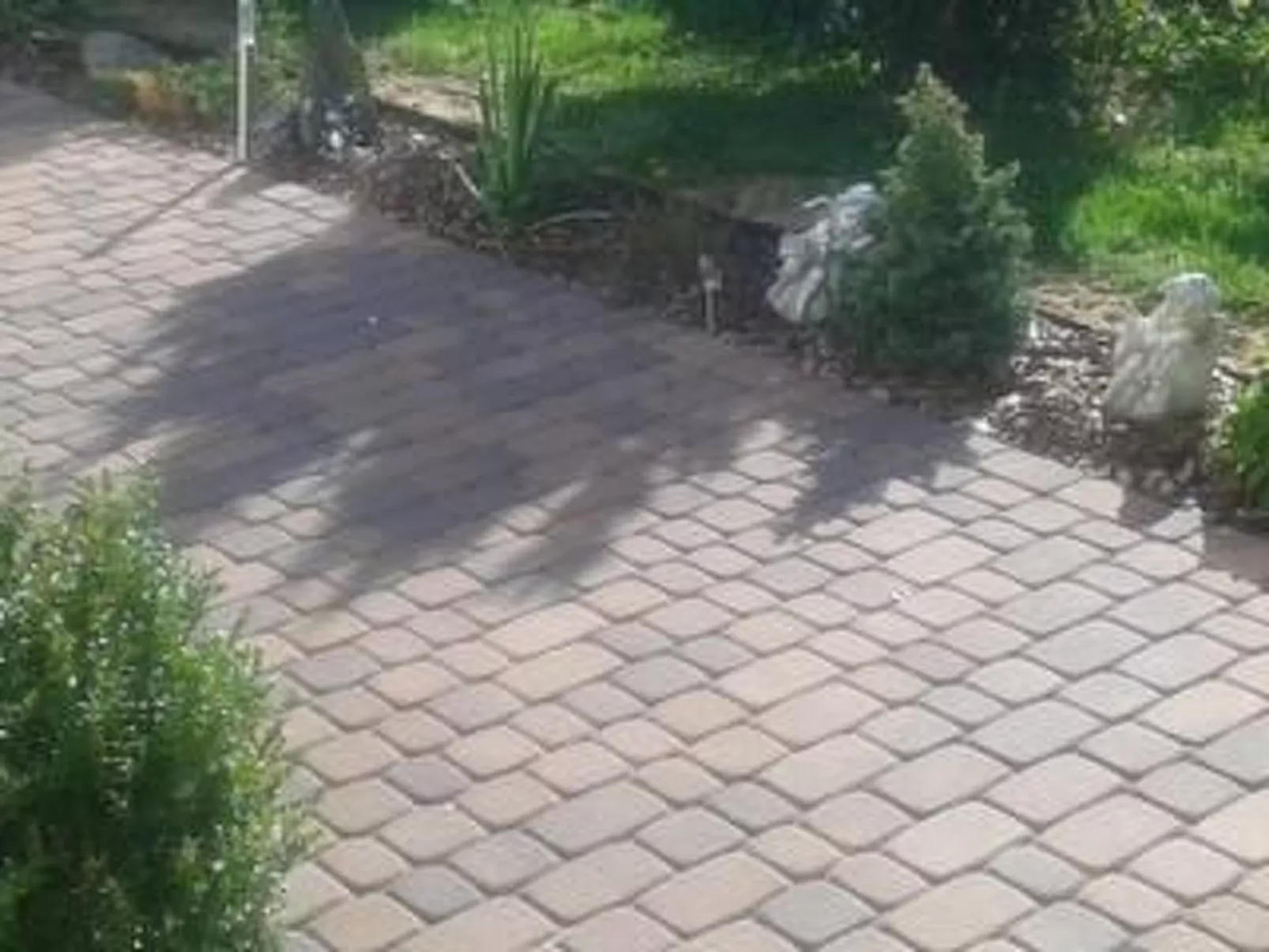 In Bychowo mit Großem Garten-Image-tags.info