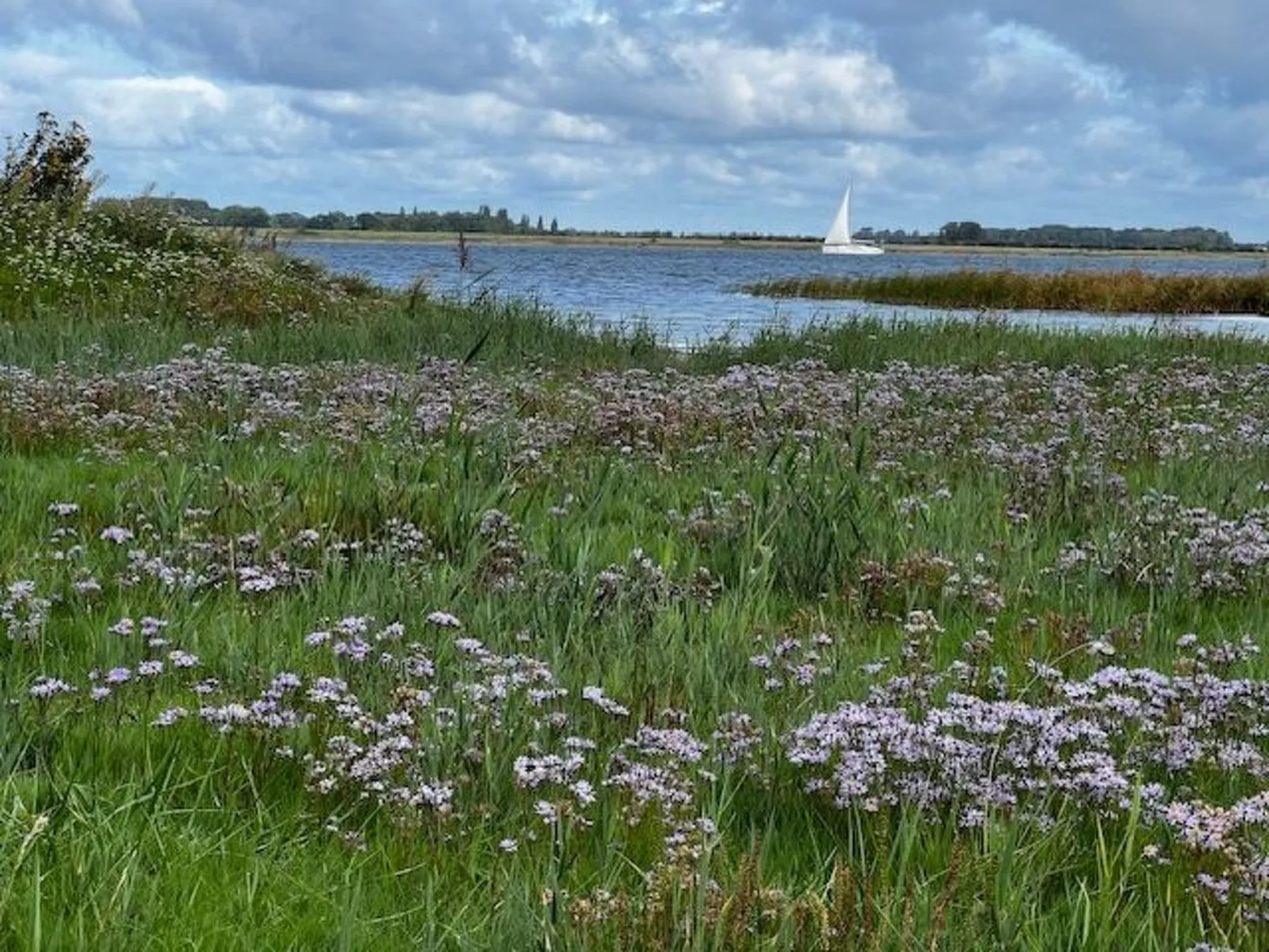 Boddentraum-Image-tags.info