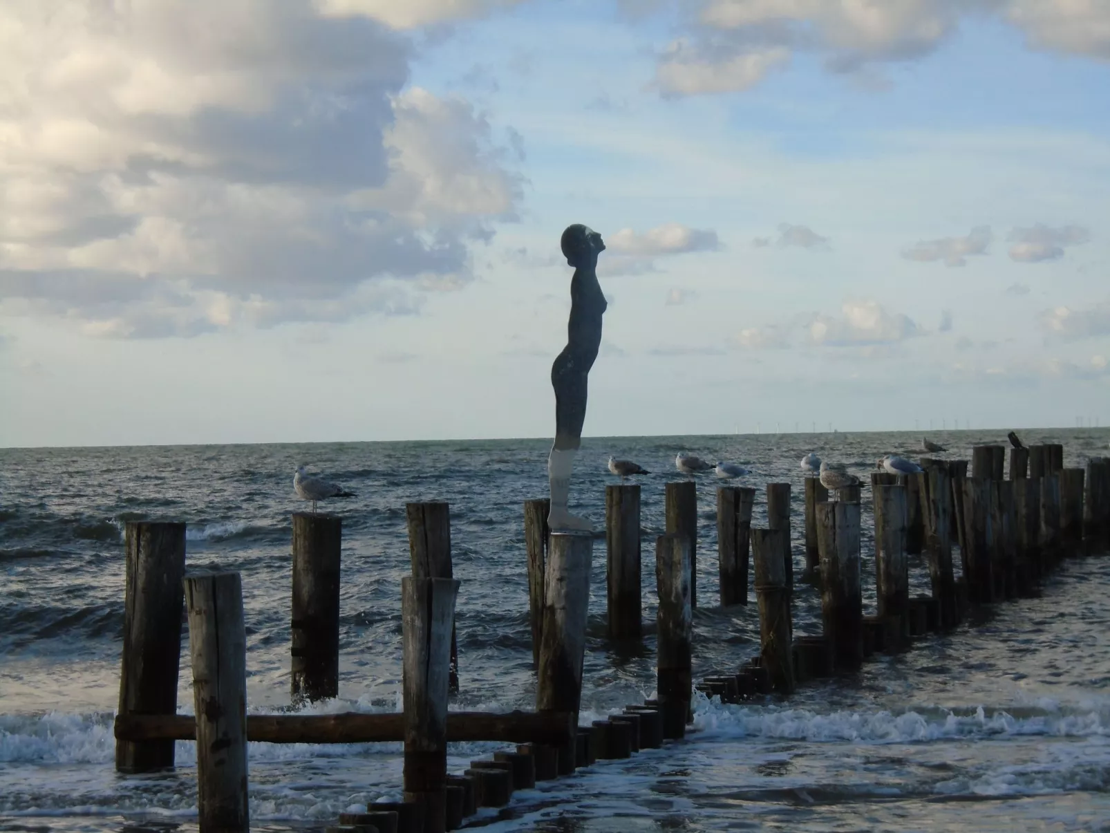 Komfortable Ferienwohnung in Zingst-Dehors