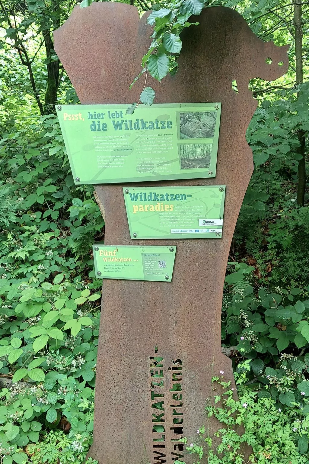 Wanderfalke II-Draußen