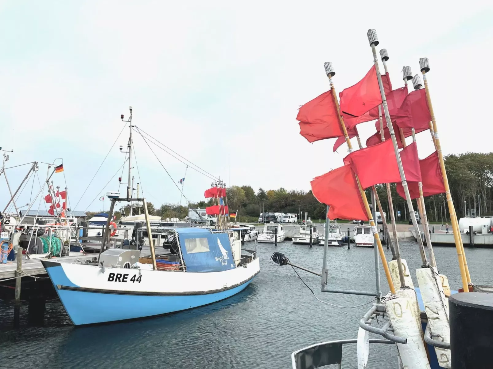 Reethaus Meeresbrise-Draußen