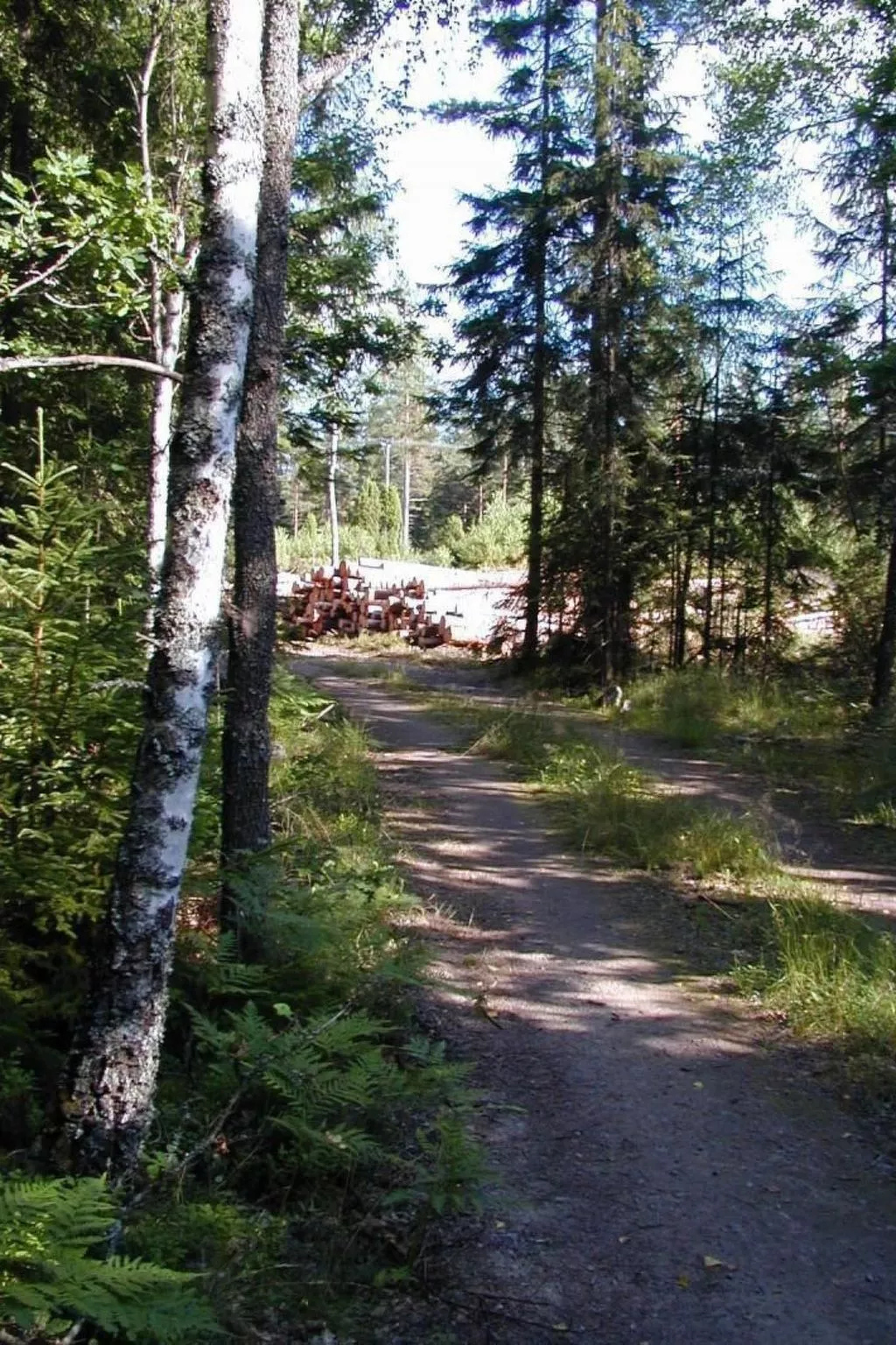 Idyllisches Bauernhaus in Småland-Outside