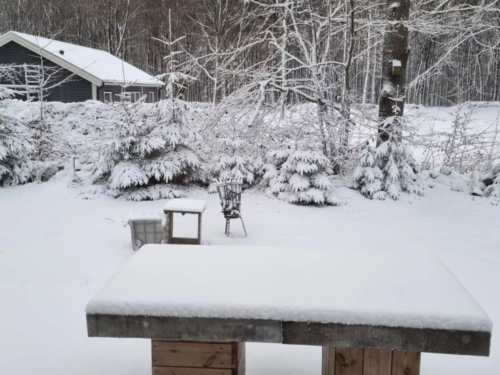 Mit Terrasse, Grill und Garten-Dehors