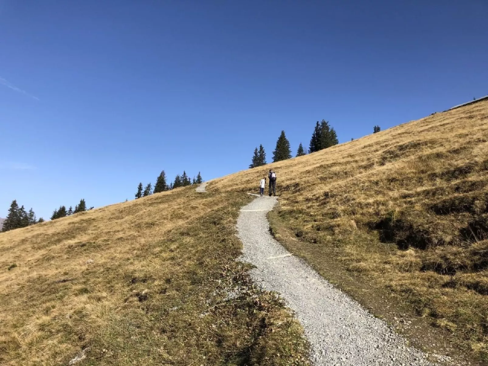 Chalet Bärgblüemli-Inside