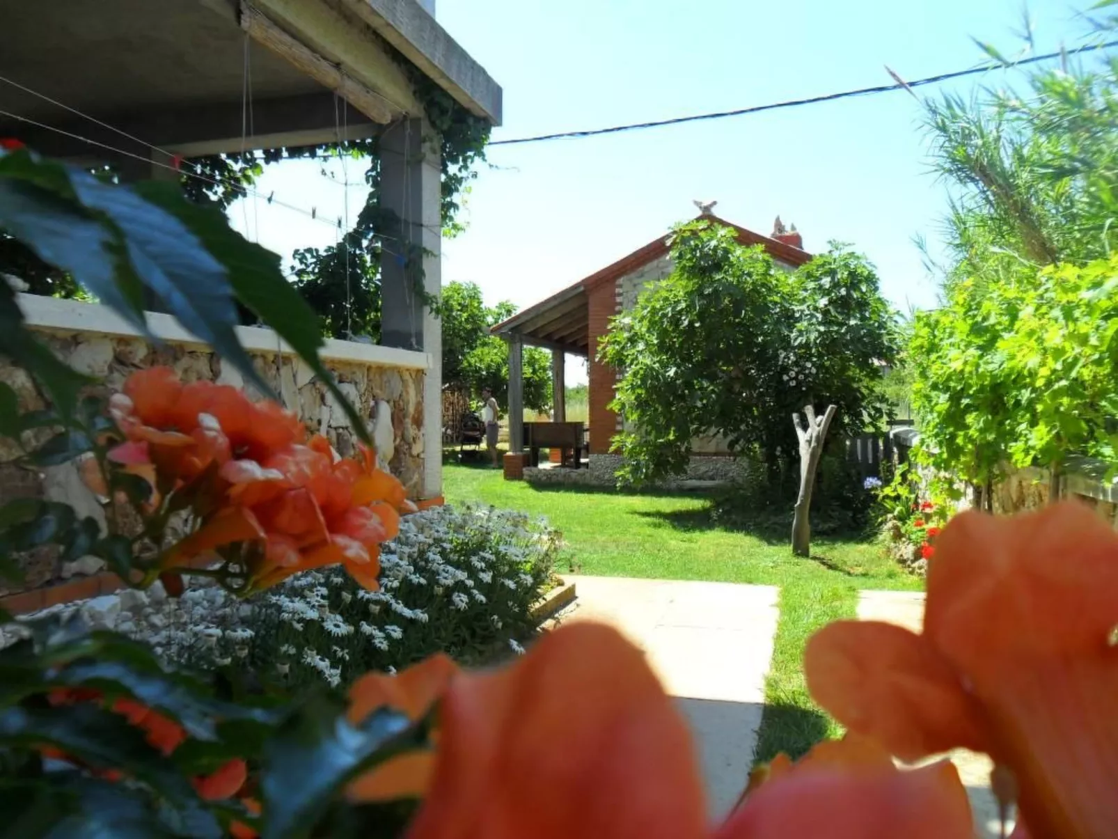 Wohnung Delfin mit Meerblick - TA Leut Agency-Dehors