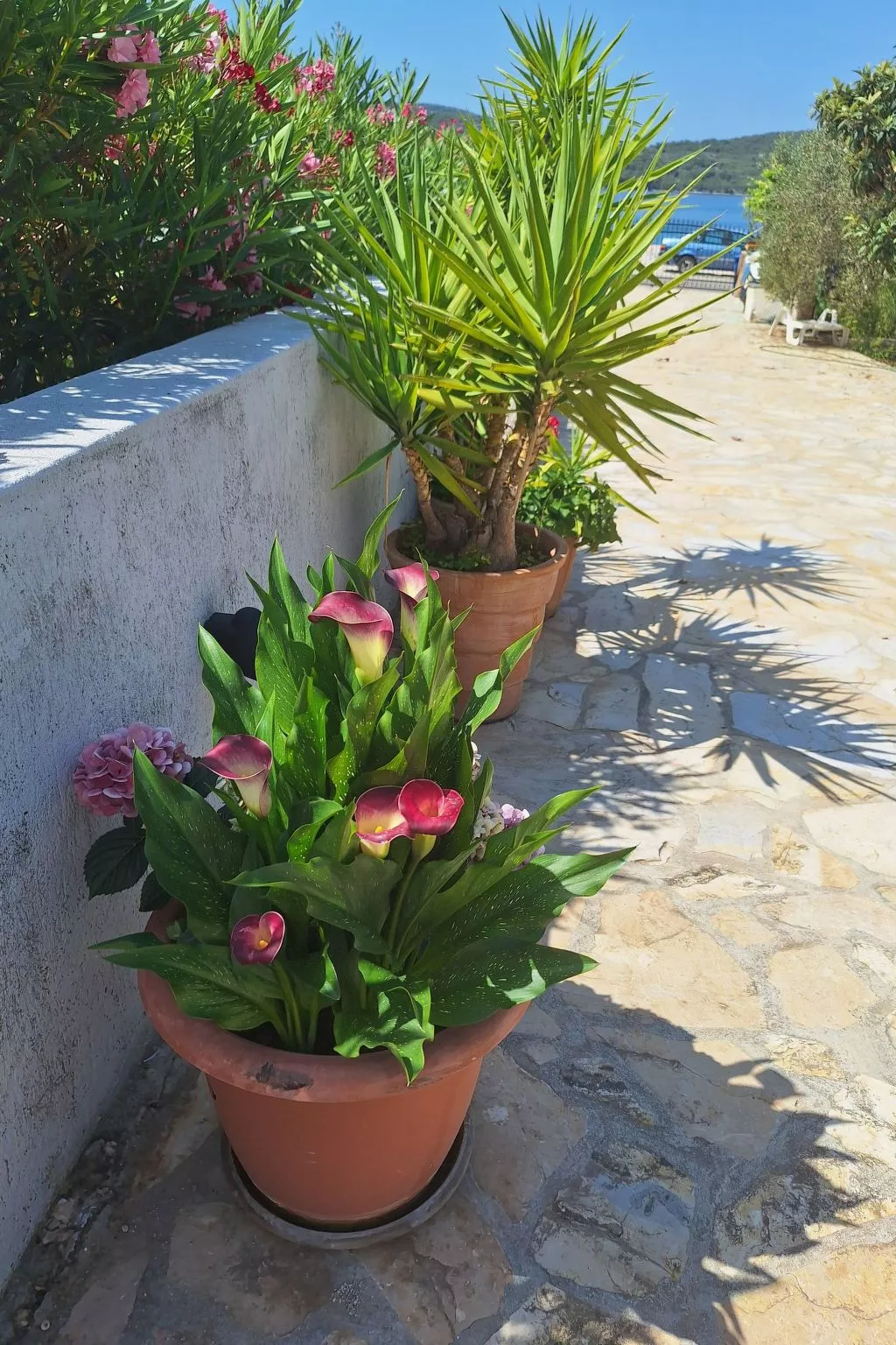 Studio für zwei Personen im Erdgeschoss-Draußen