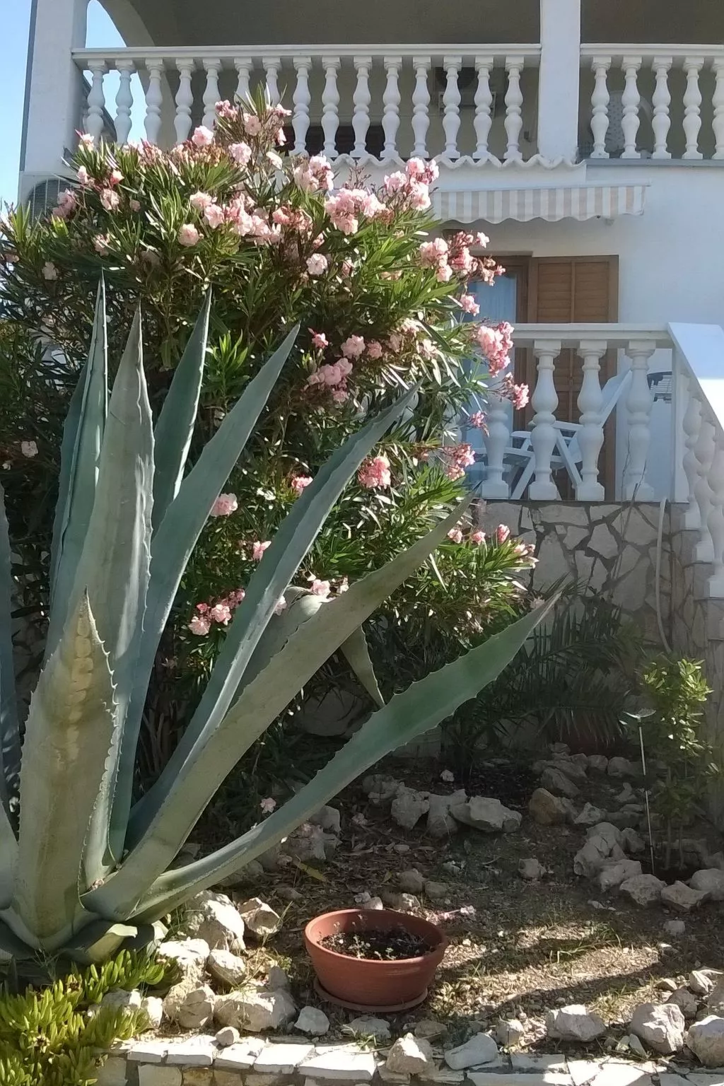 Apartment mit Meerblick-Dehors