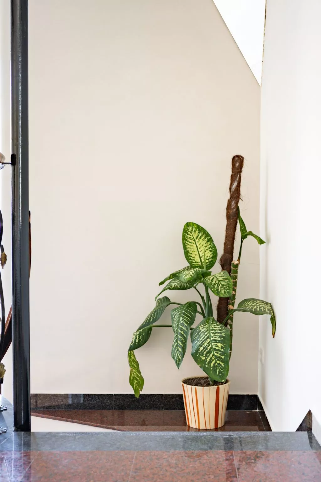 Studio-Wohnung Kleopatra-Inside