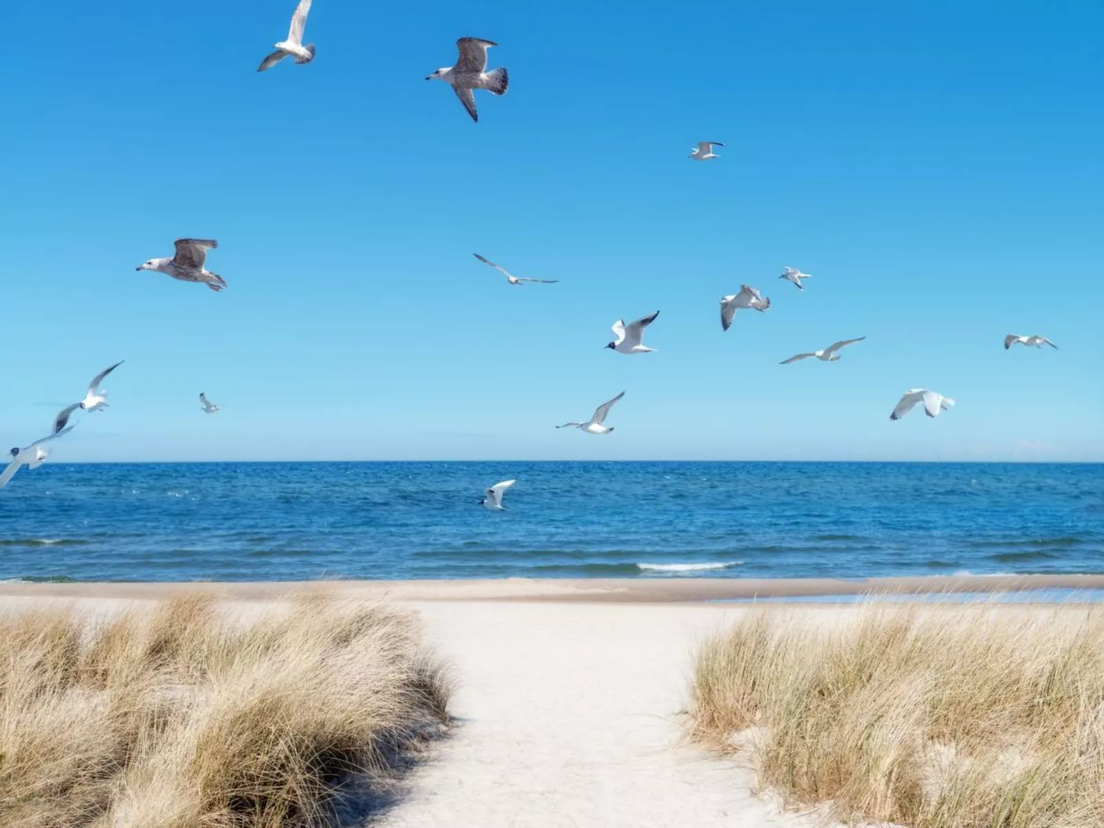 Dat Lütje 516-Inside