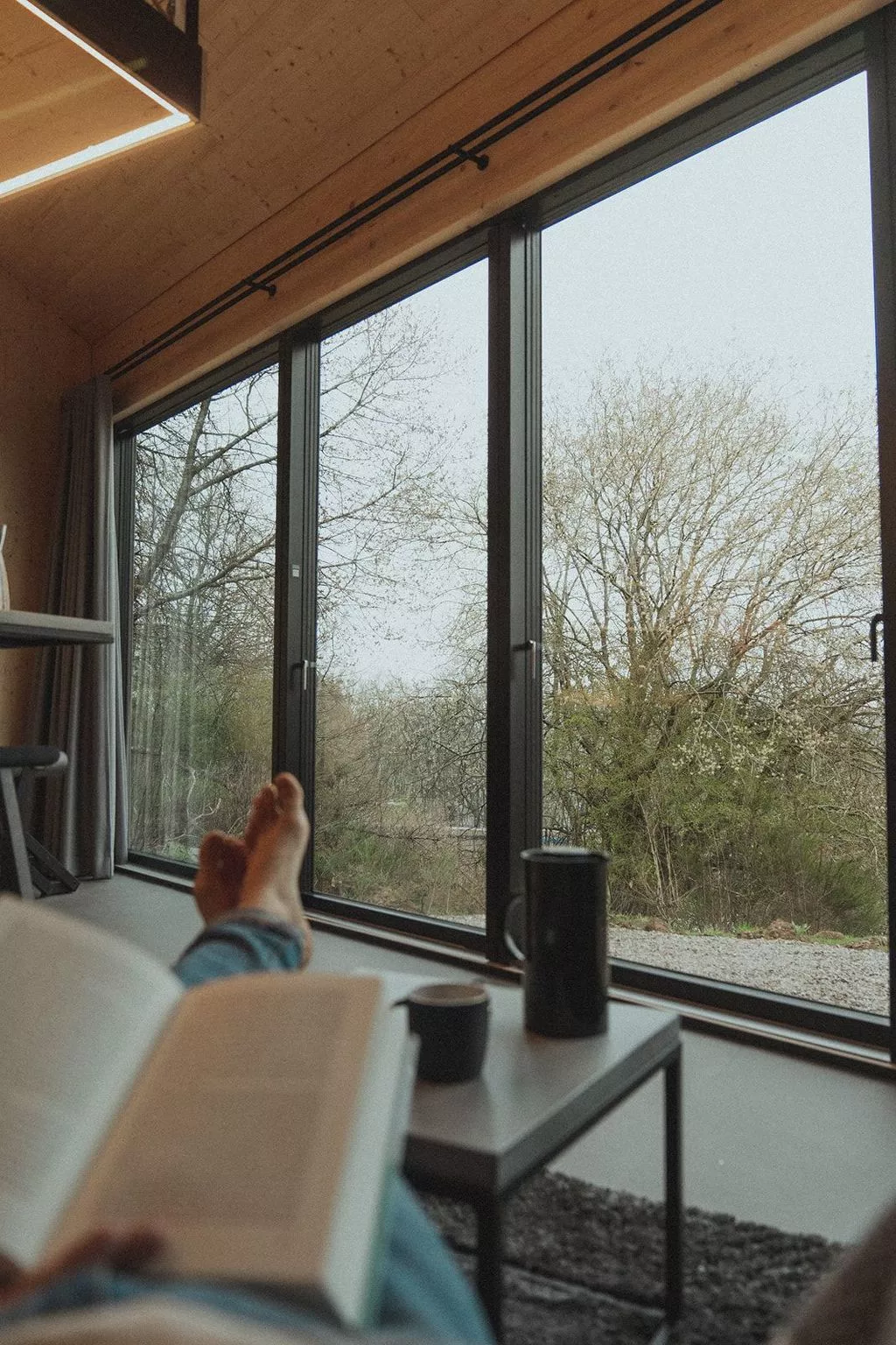 (B) Cabin Stars-Image-tags.info