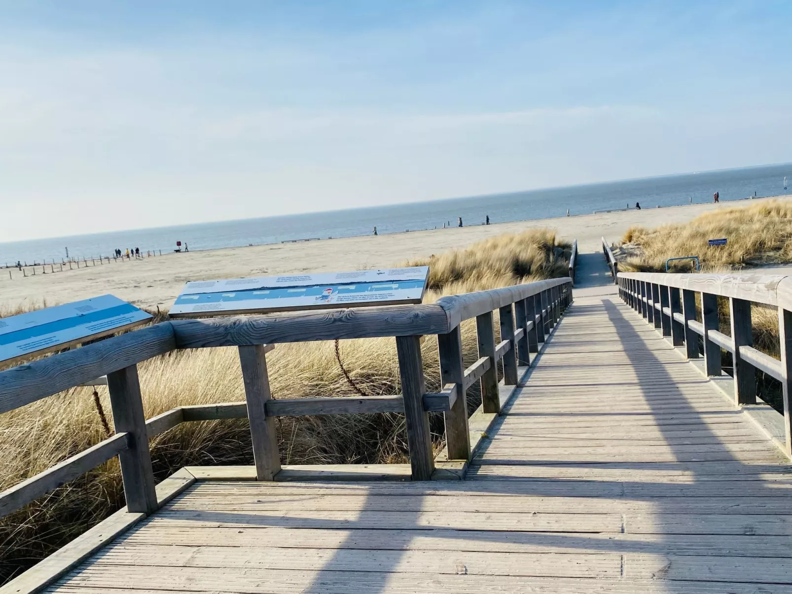 Möwengruß-Draußen