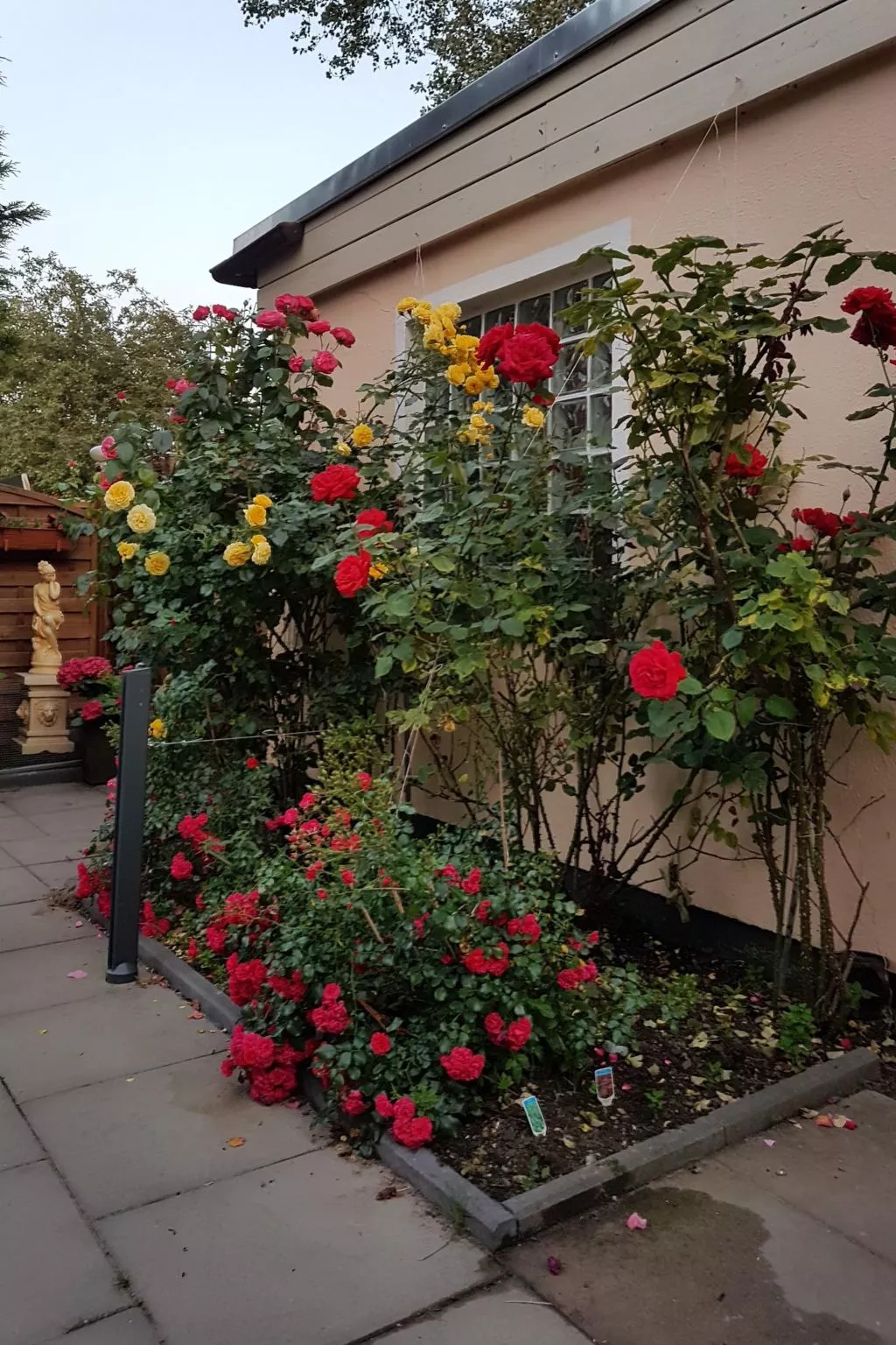 Cap Formentor - Outside