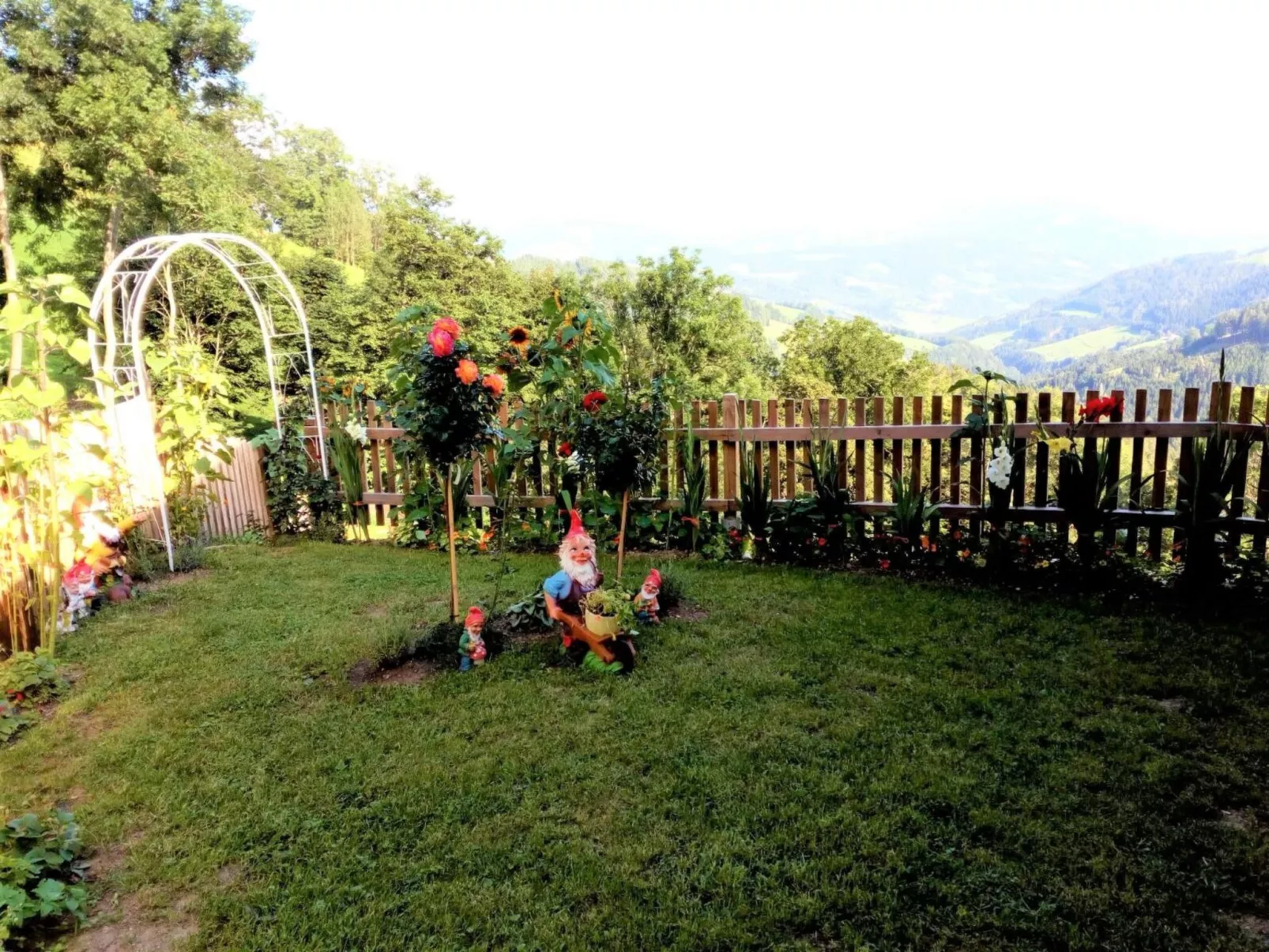 Alm-Ferienhaus-Draußen