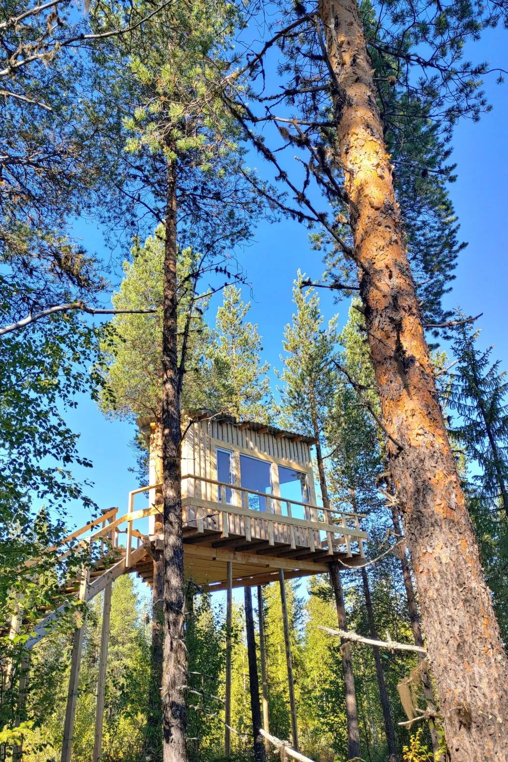 Aurora Lodge-Draußen