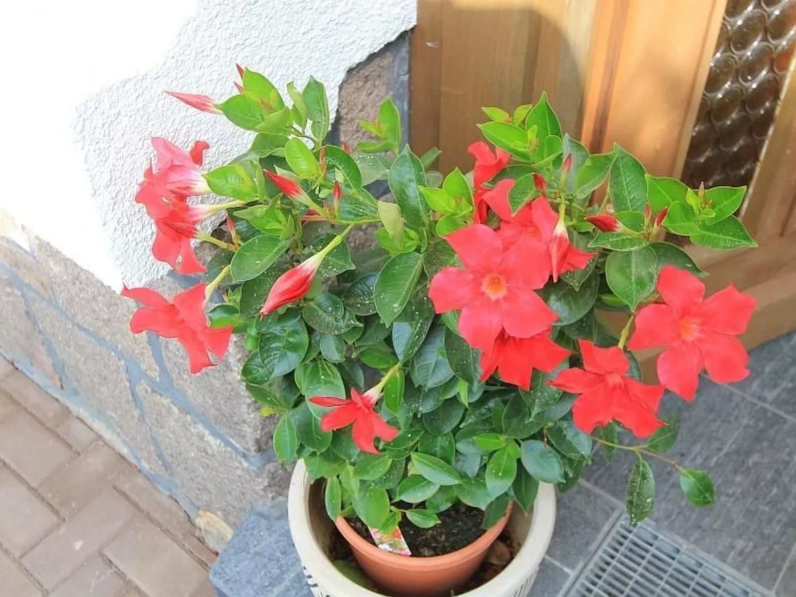 Männel-Image-tags.info