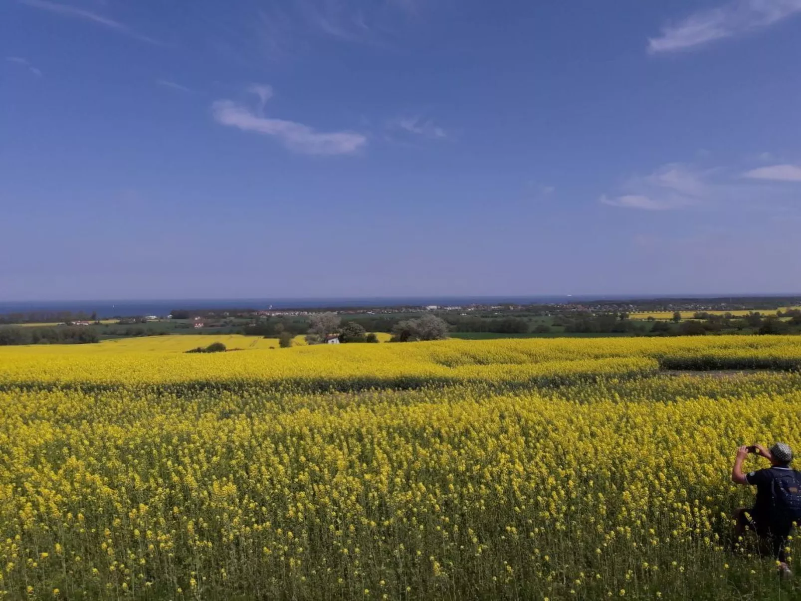 Bungalow "Lieschen"-Outside