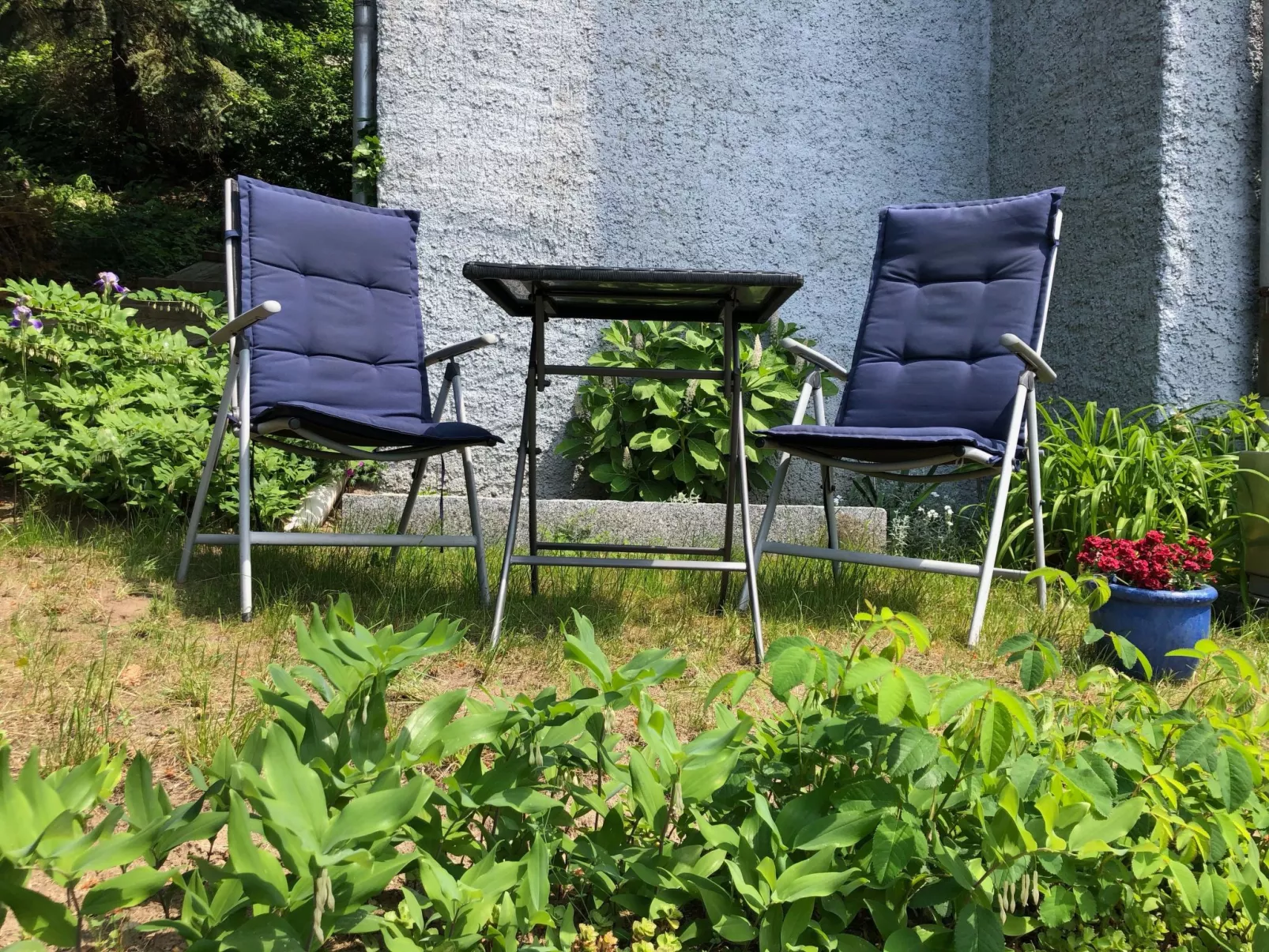 Gemütliche Wohnung in Niederpoyritz mit Garten-Draußen