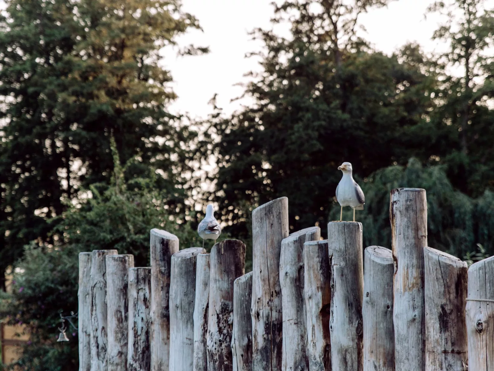 Admiral's Corner Lee-Dehors