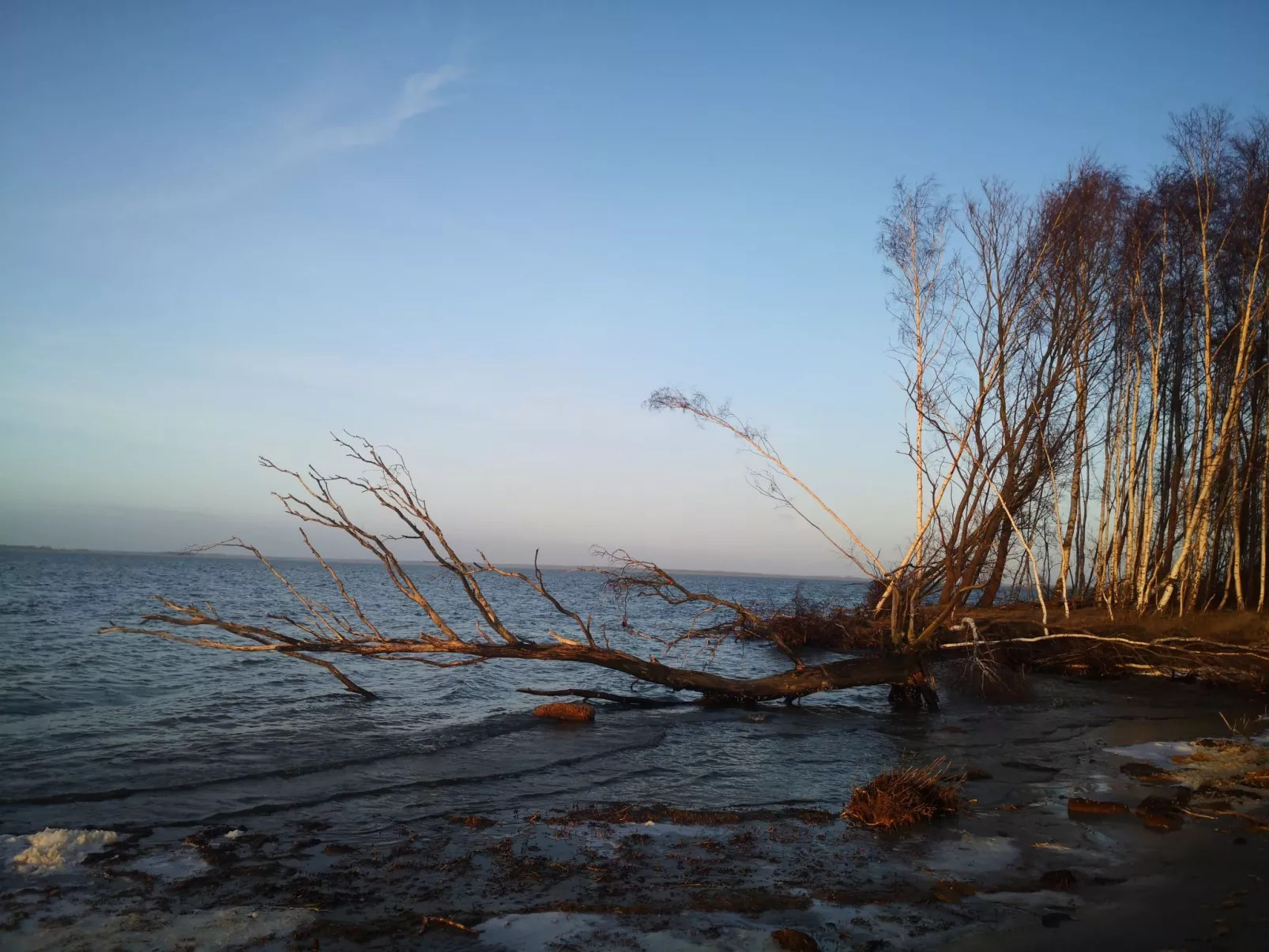 Kranichnest-Draußen