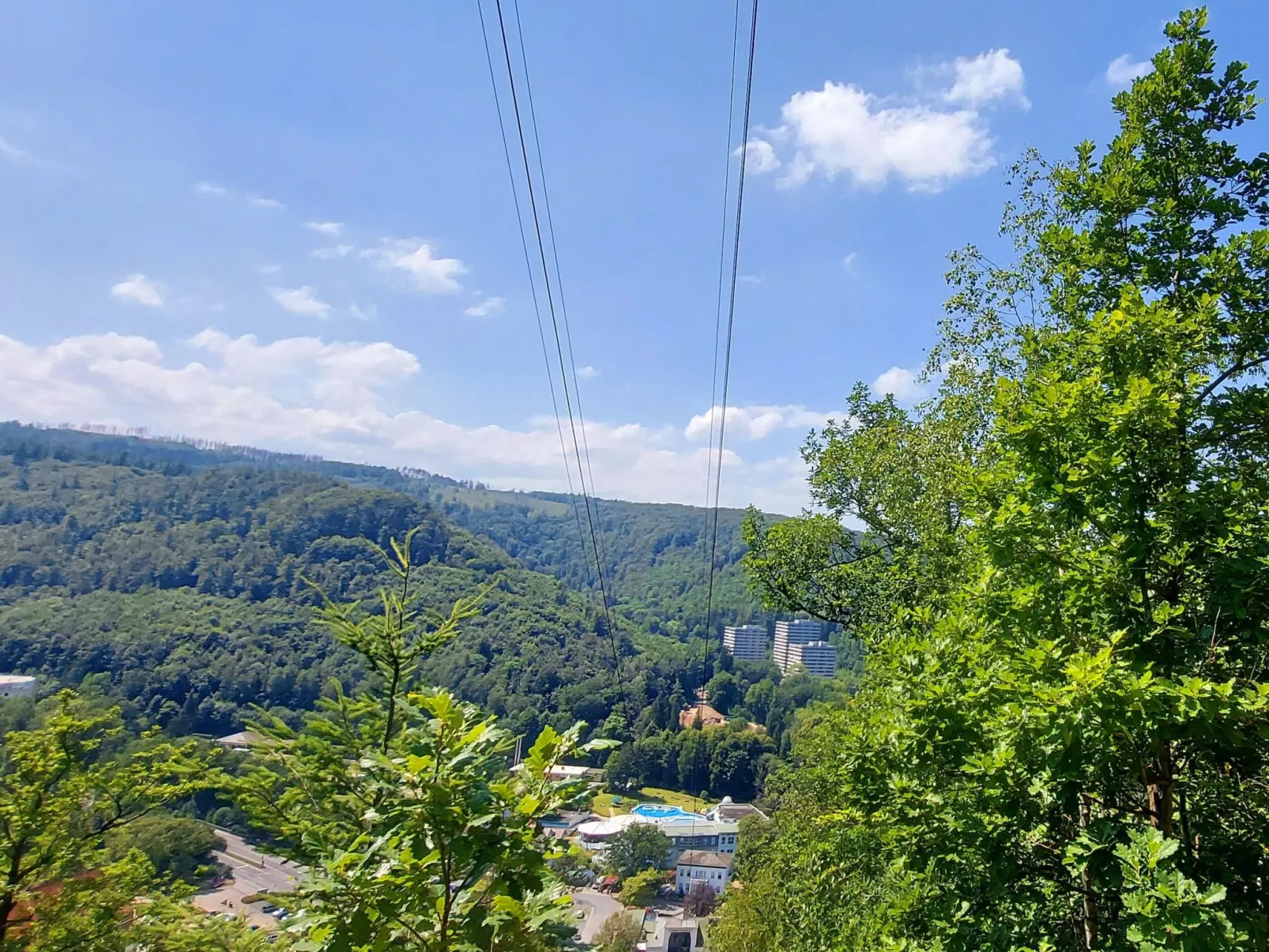 Wanderfalke-Draußen