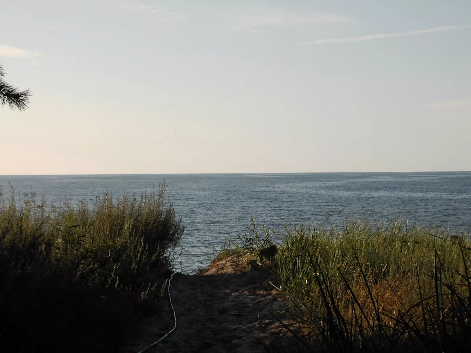 Mit Blick auf das Wasser-Image-tags.info