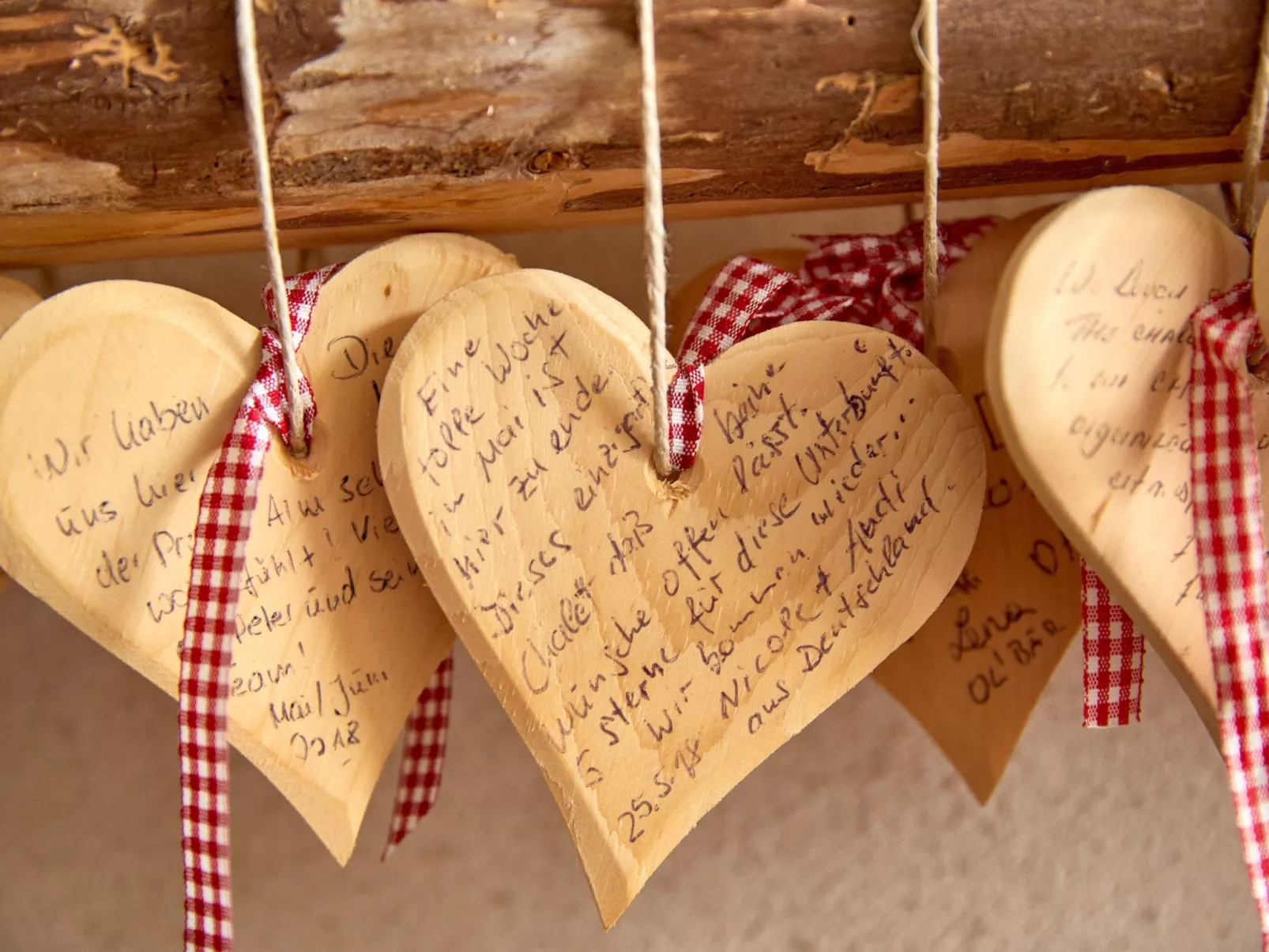 Chalet Promi-Alm in Flachau-Drinnen