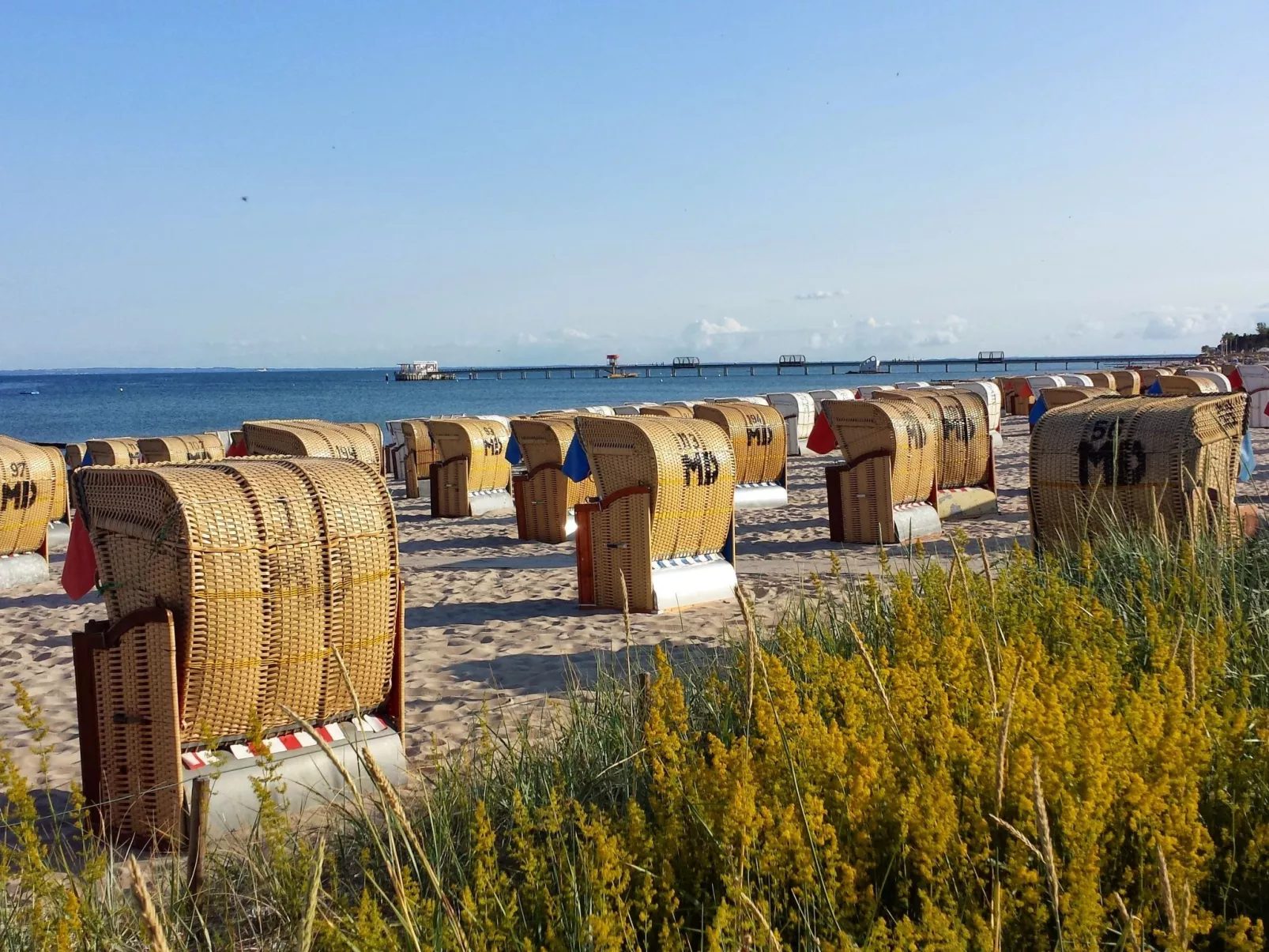 Andy Kellenhusen-Image-tags.info