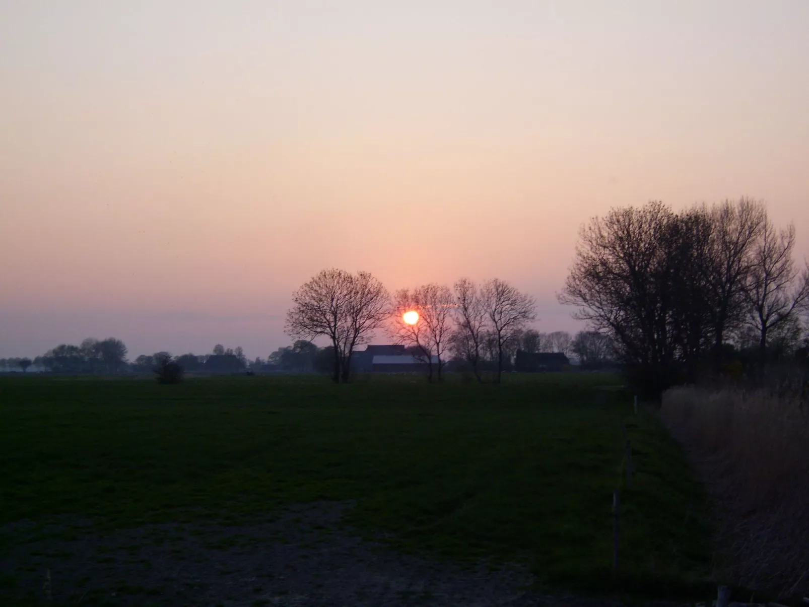 Friesje-Image-tags.info