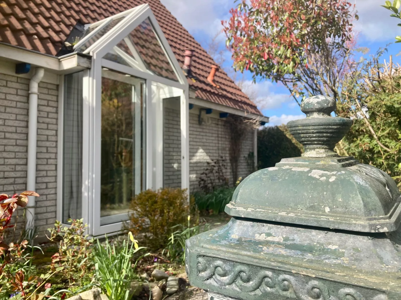 120 Dijkrose-Draußen