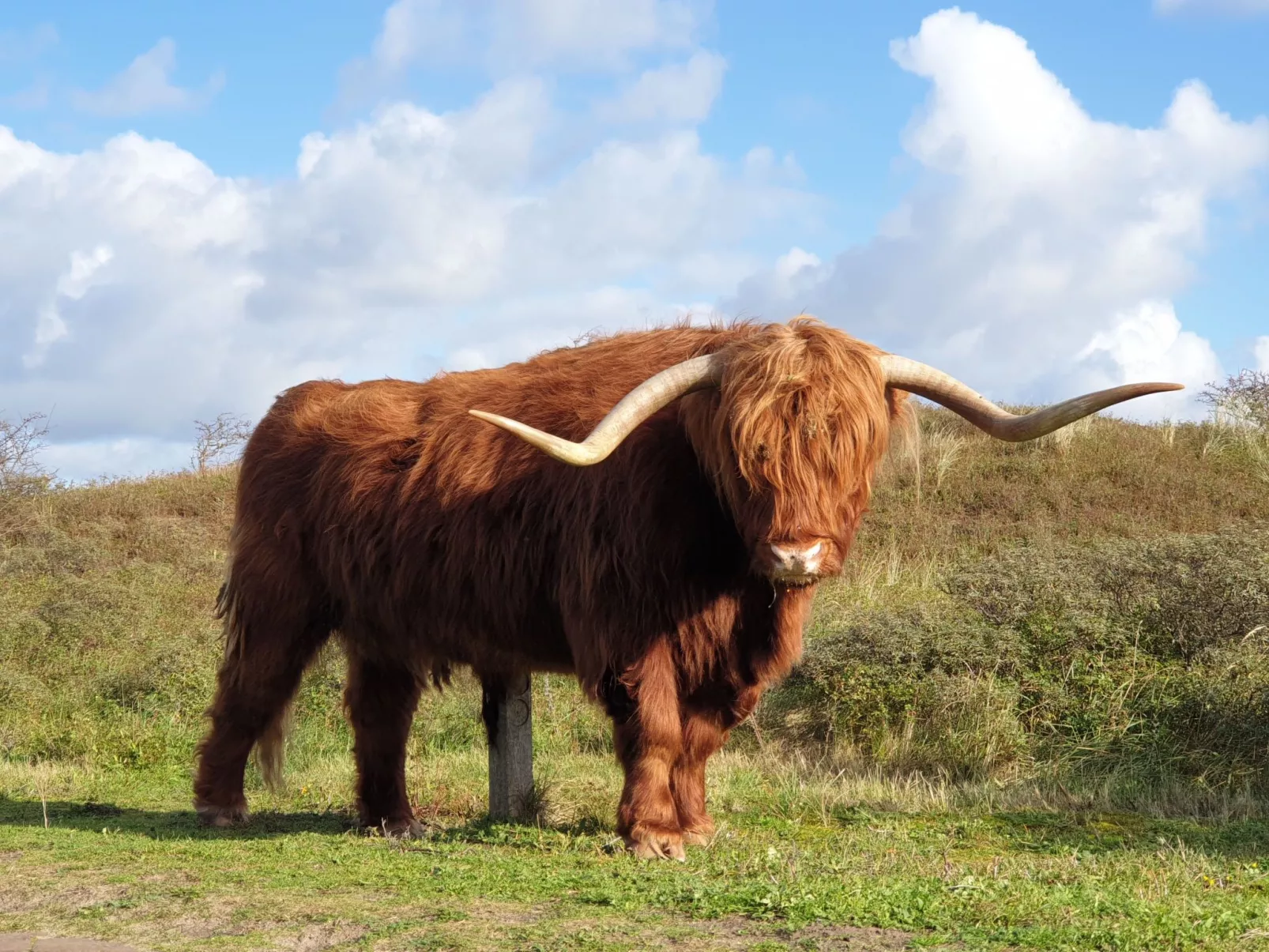 Sommerhaus in ruhiger Lage mit privatem Garten und Terrasse-Outside