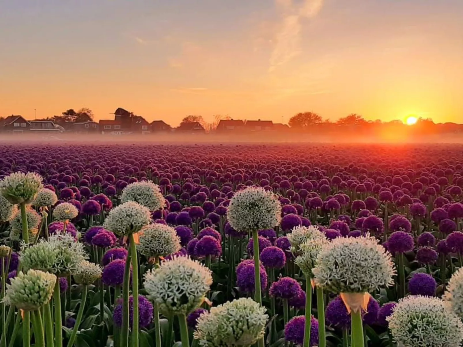 Sommerhaus Klein Wimmenum, Nähe Strand und Dünen-Draußen