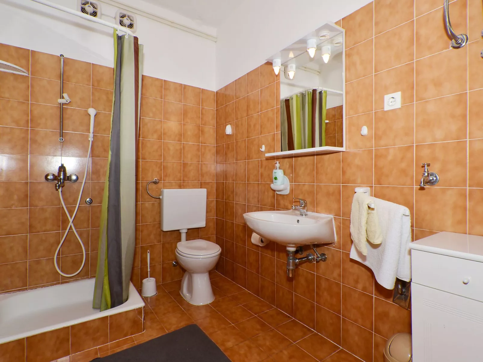 In Slatine mit Garten und Terrasse-Dedans