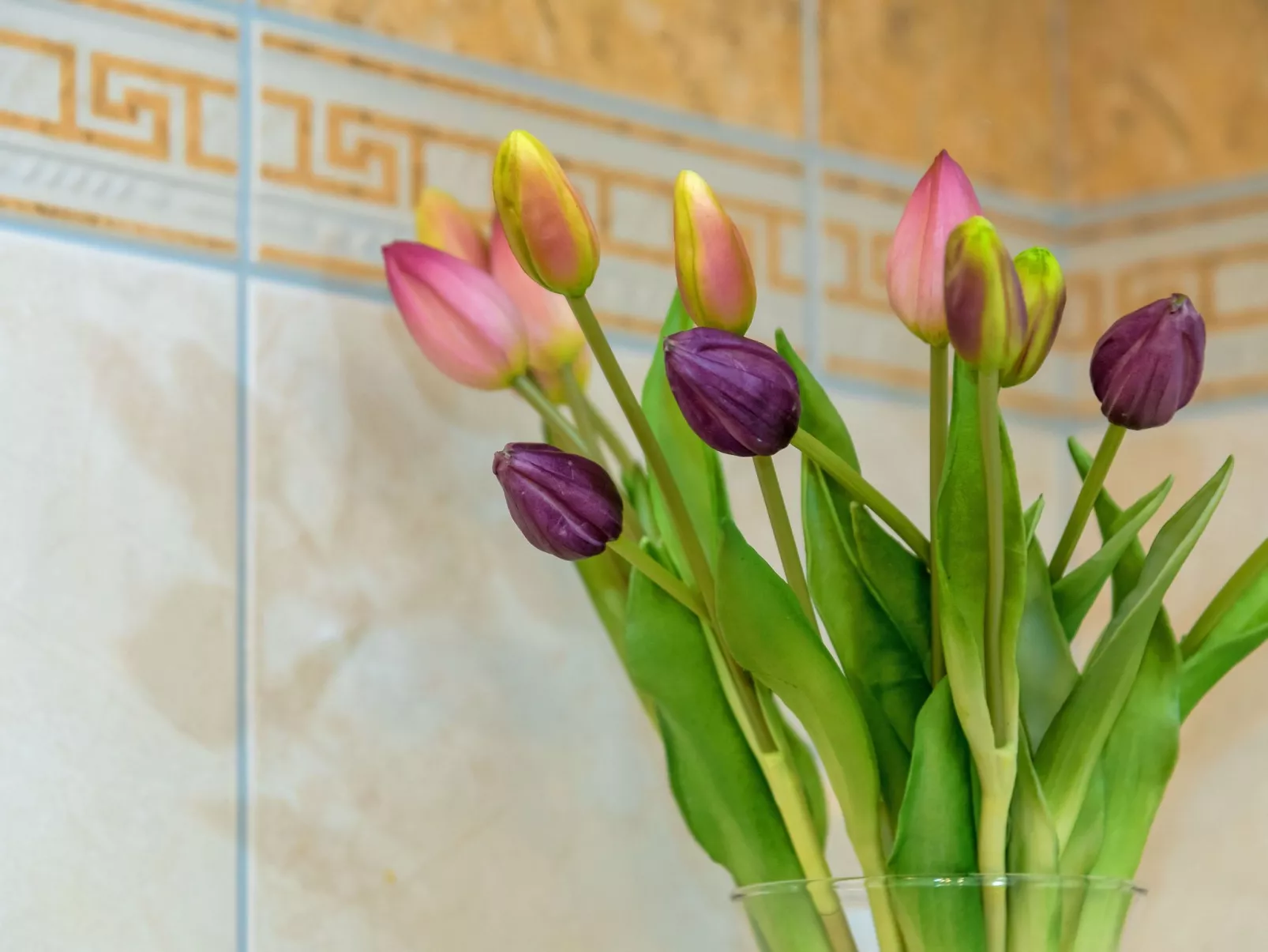 Villa Aquarius-Dedans