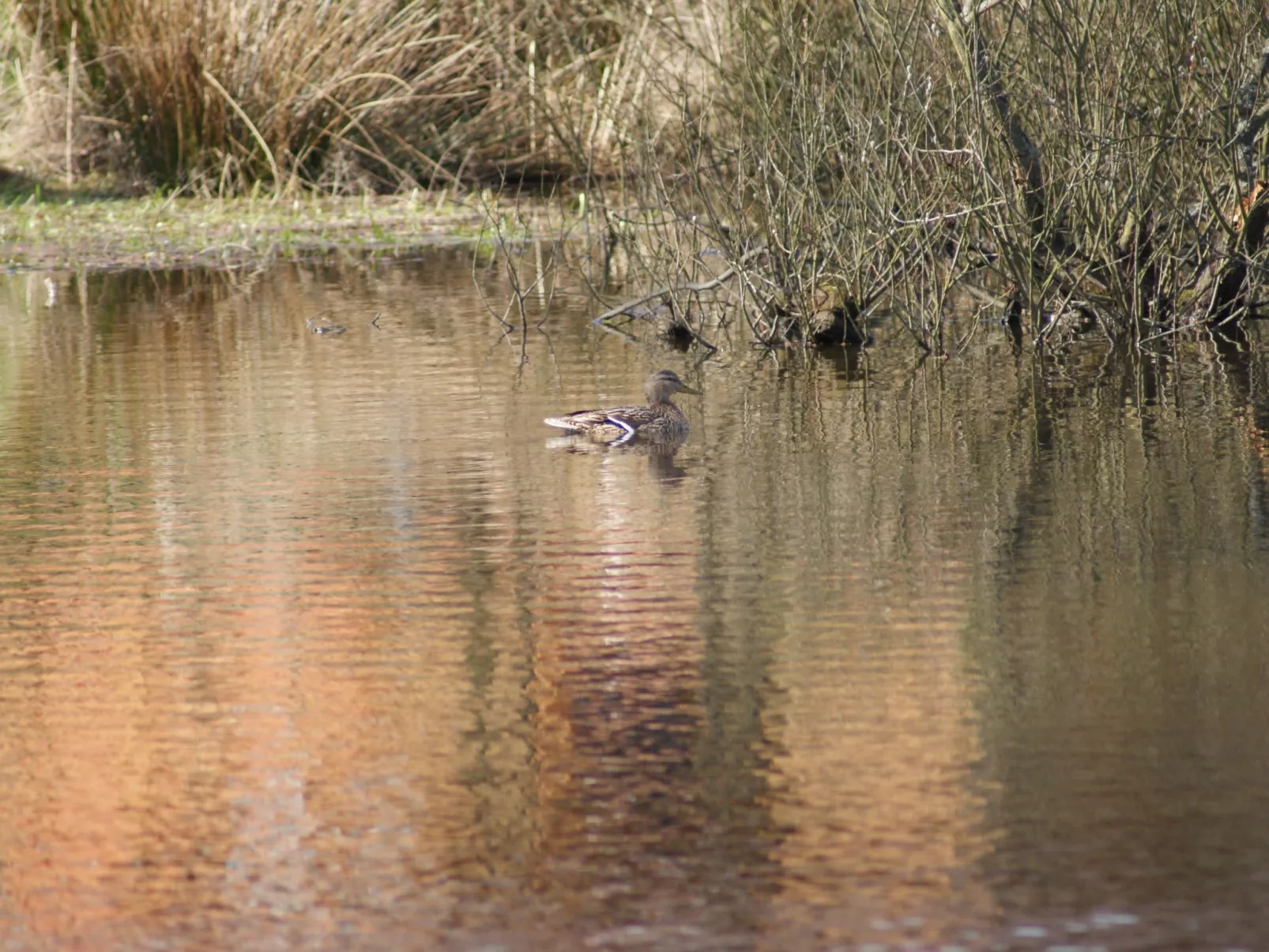 Ruhe am Meer - Ferienhäuser in den Gärten von Magra-Draußen