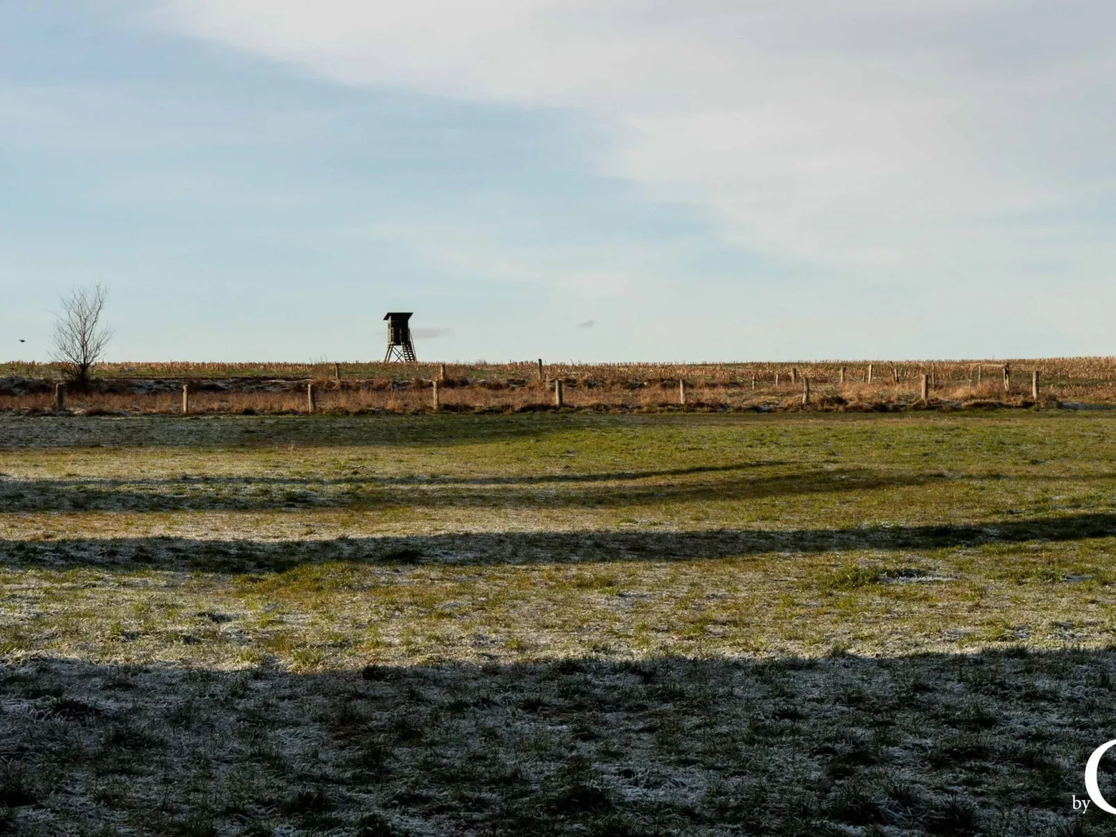 Am Apothekerberg-Image-tags.info