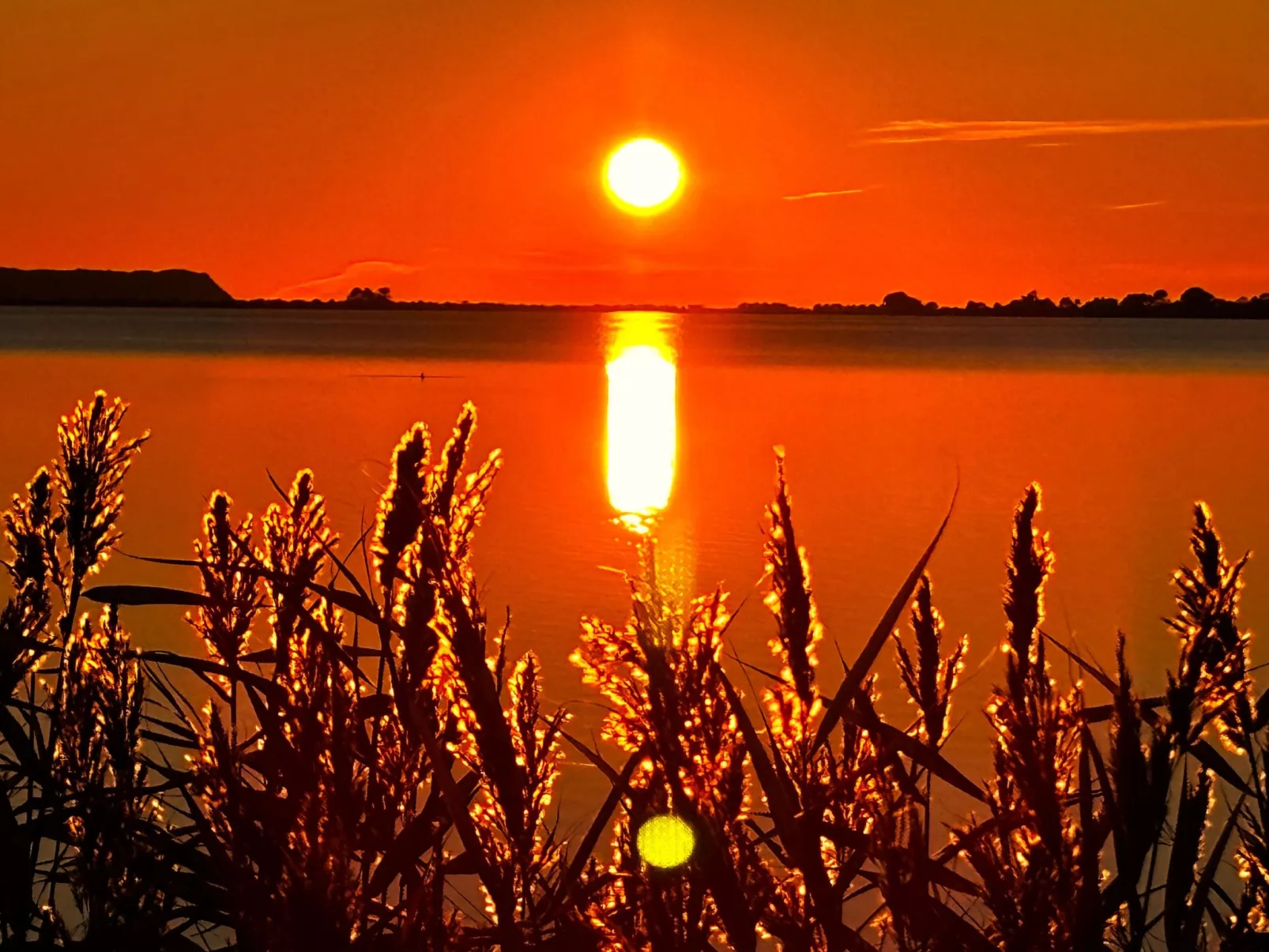 Reethaus Vera am Meer mit Sauna und Kamin-Dehors