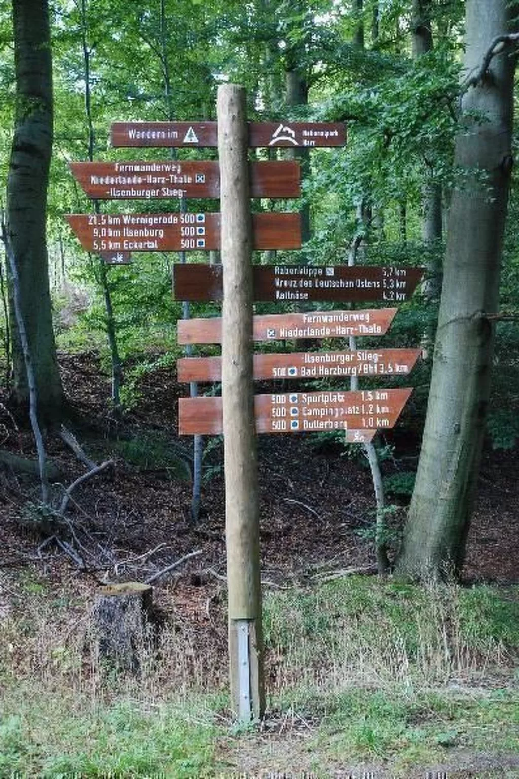 Fewo Burgbergblick-Outside