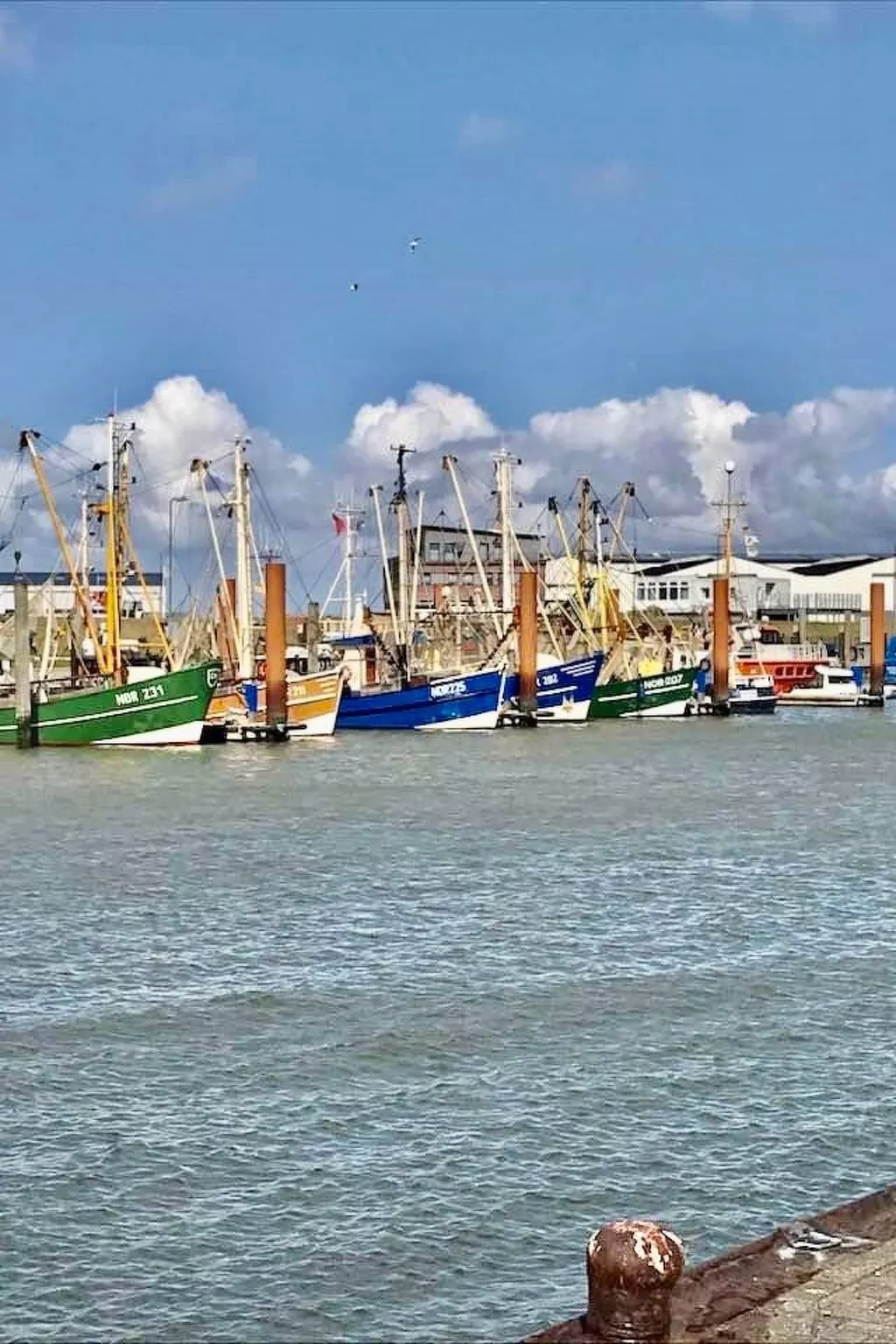 In Hage mit Garten, Terrasse und Grill-Draußen