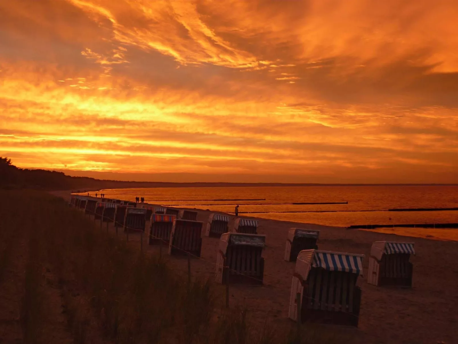 Komfort Ferienhaus mit Sauna und Kamin, auf großem Waldgrundstück, in absoluter-Outside