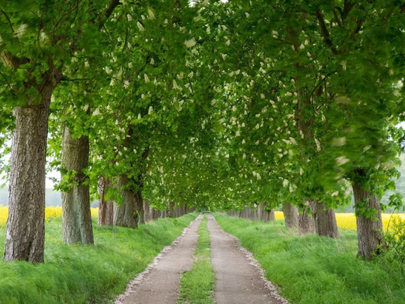 Uferpromenade-Outside