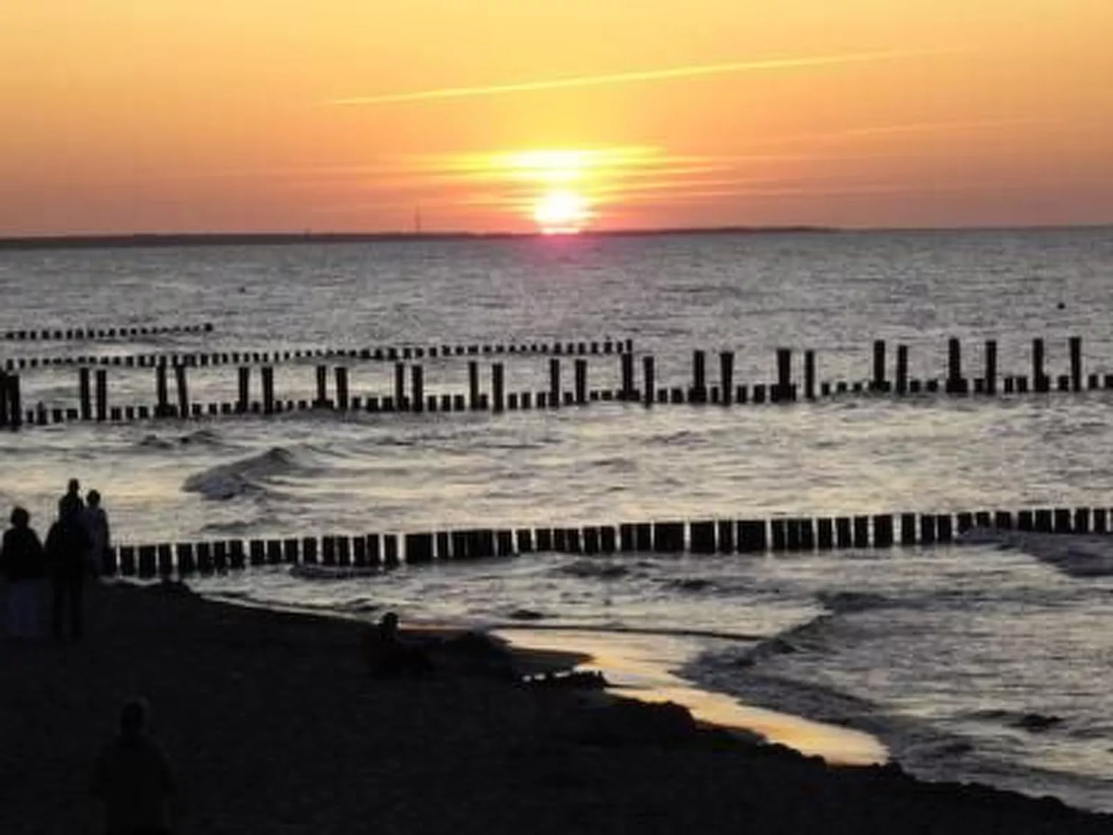 Amsel und Drossel-Image-tags.info