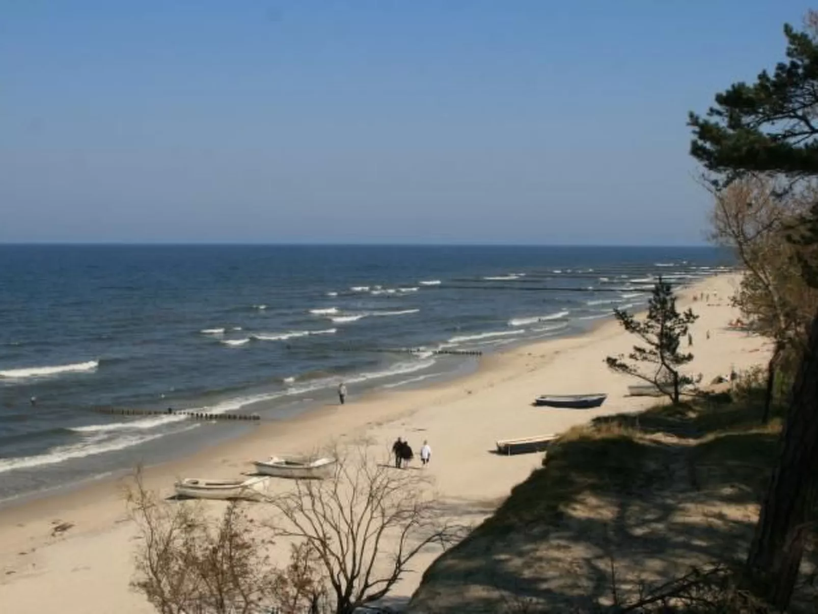 2 - OG-Image-tags.info