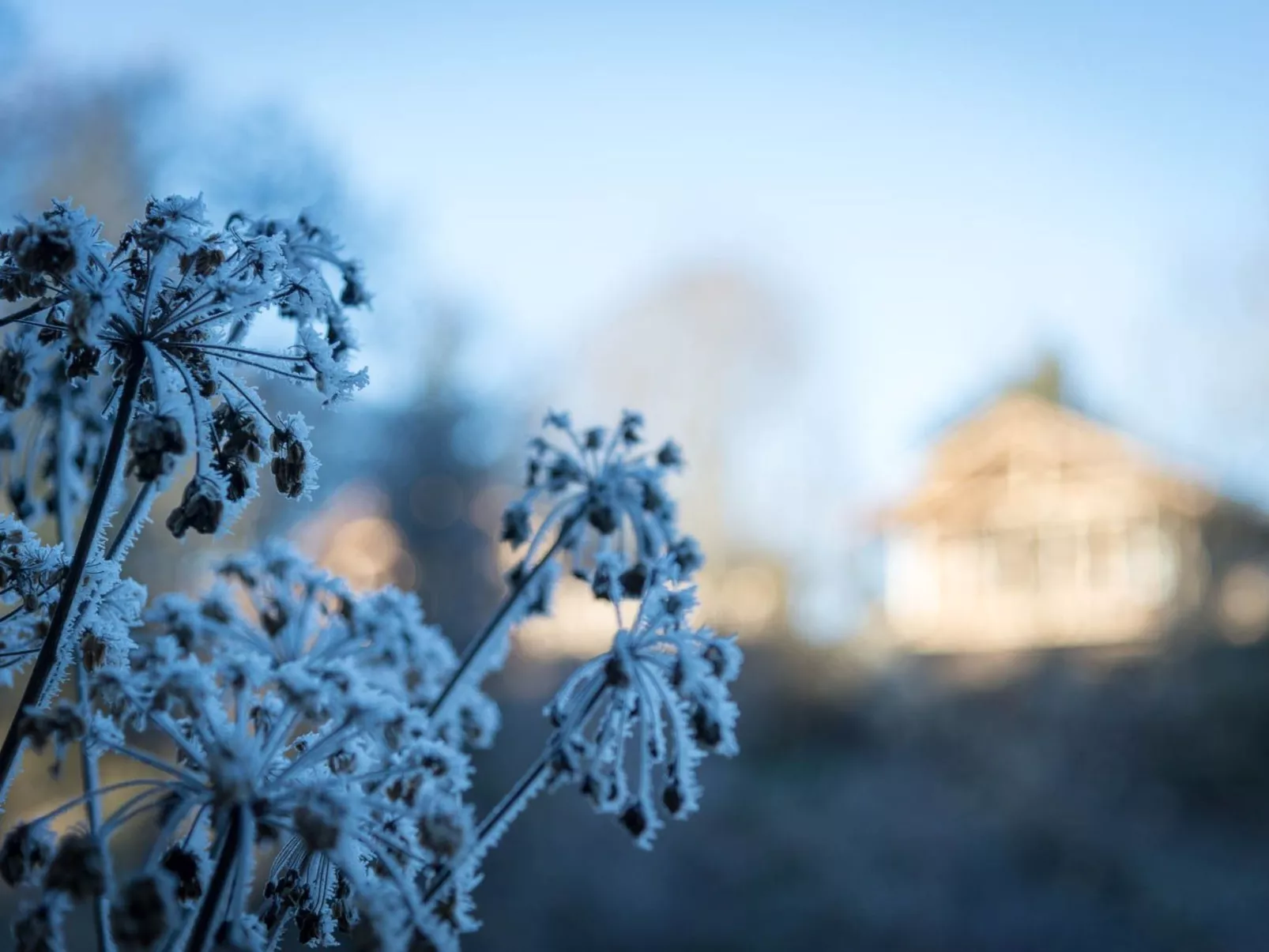 FORSTGUT - Raum für wertvolle Zeit-Image-tags.info