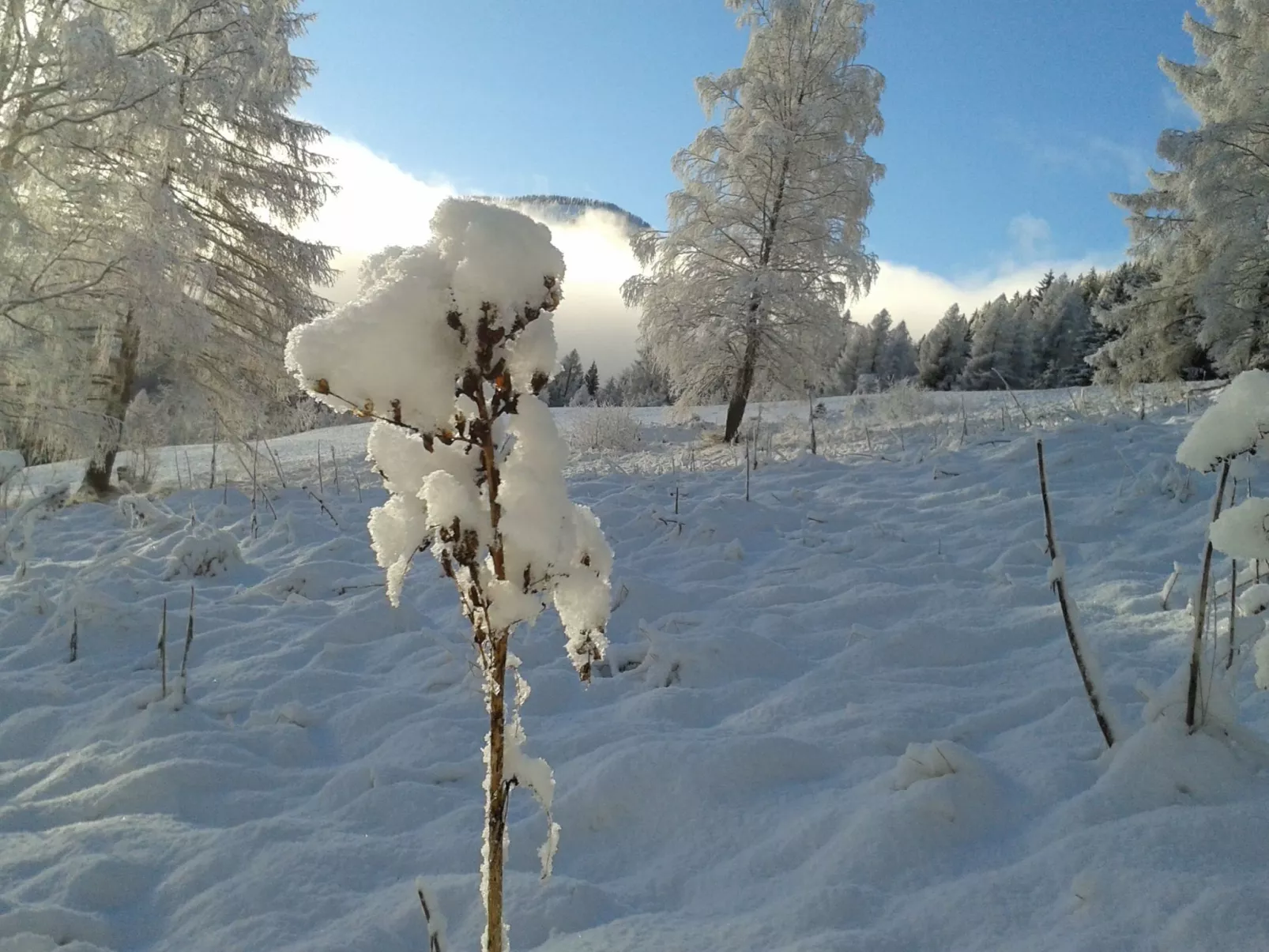 Freistehendes Ferienhaus in idyllischer Lage-Outside